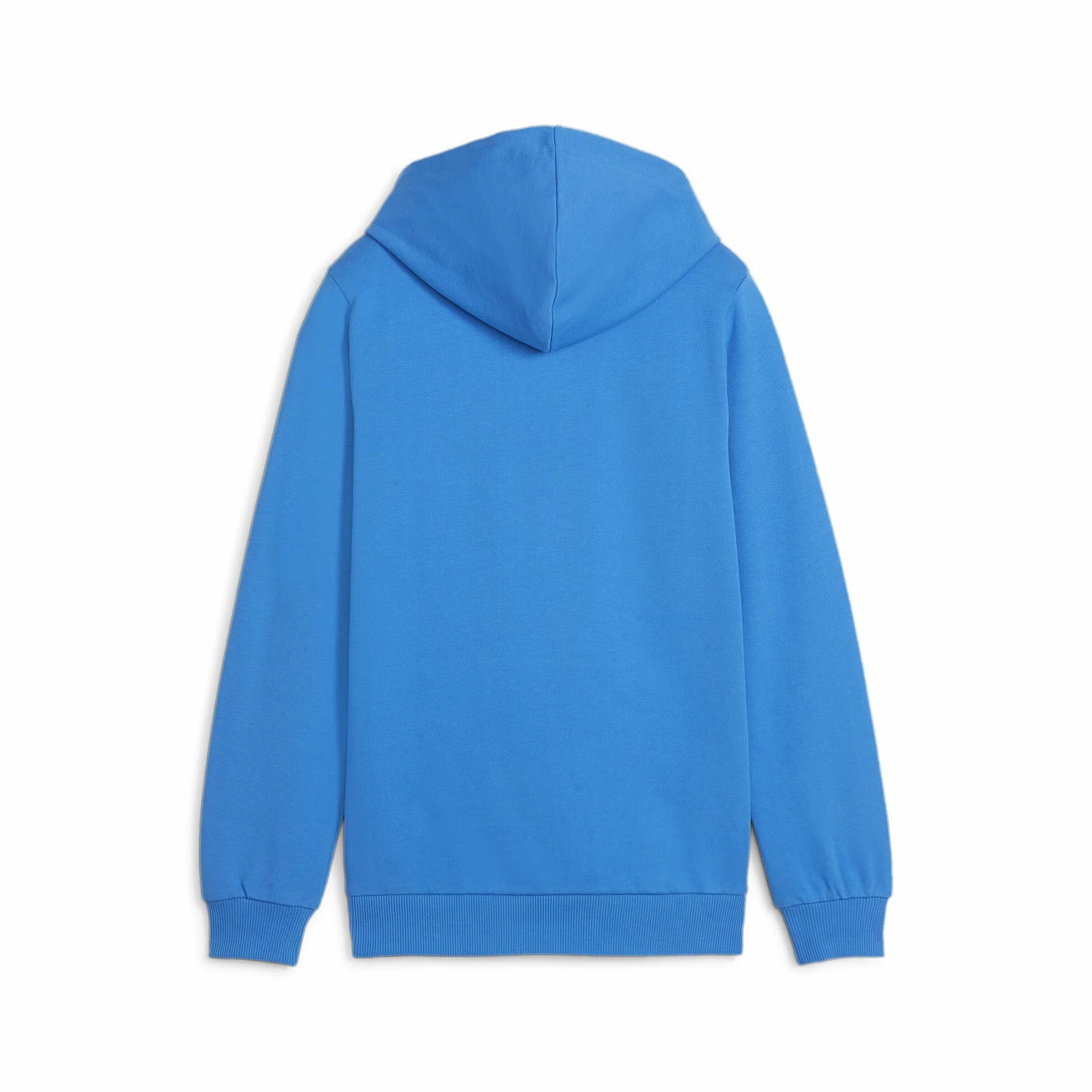 PUMA Ch?opi?ca bluza z kapturem Teamgoal Casuals Jr