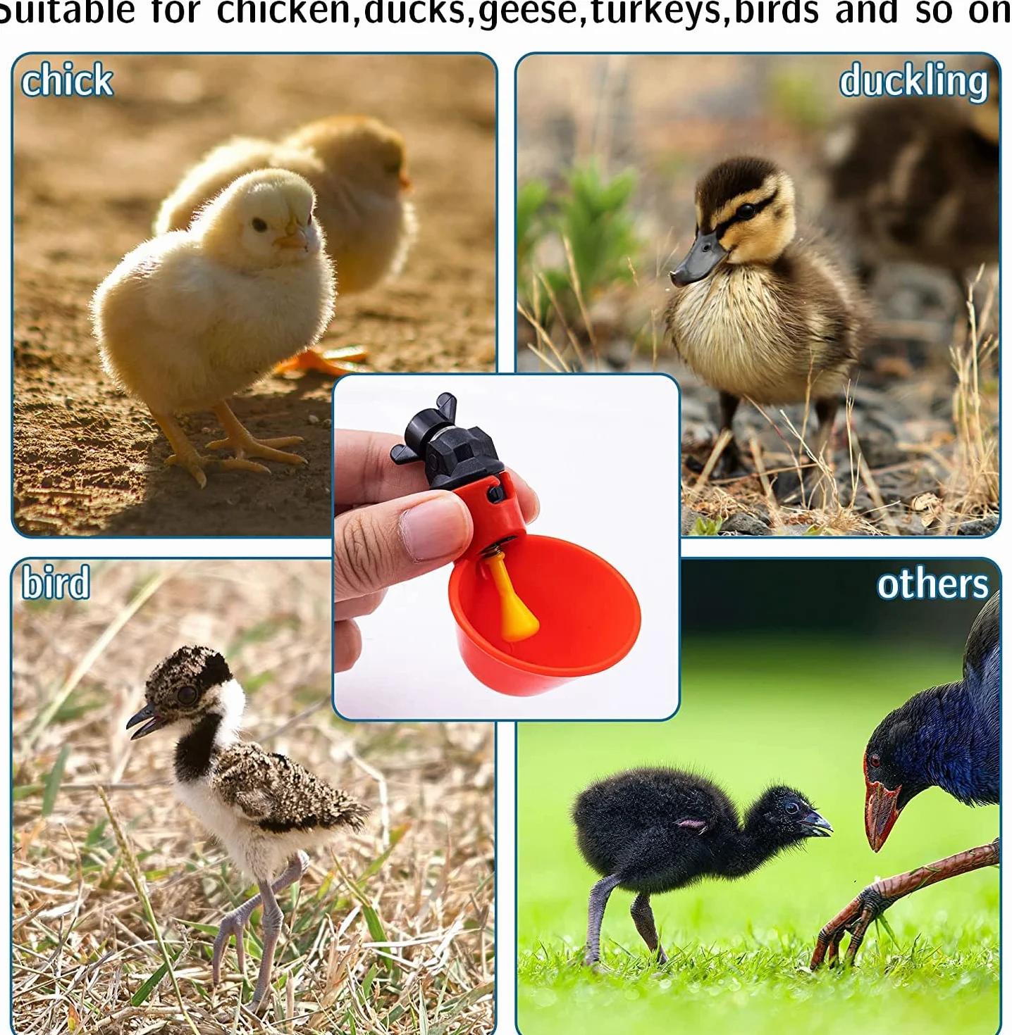 Jeffergarden 5 Pack Automatyczne plastikowe kubki do picia z kurczaka Poidło do drobiu dla kurczaków, ze stali nierdzewnej Automatyczny dozownik wody z kurczaka Kubki do picia dla drobiu Królik Woda do picia (woda śrubowa)