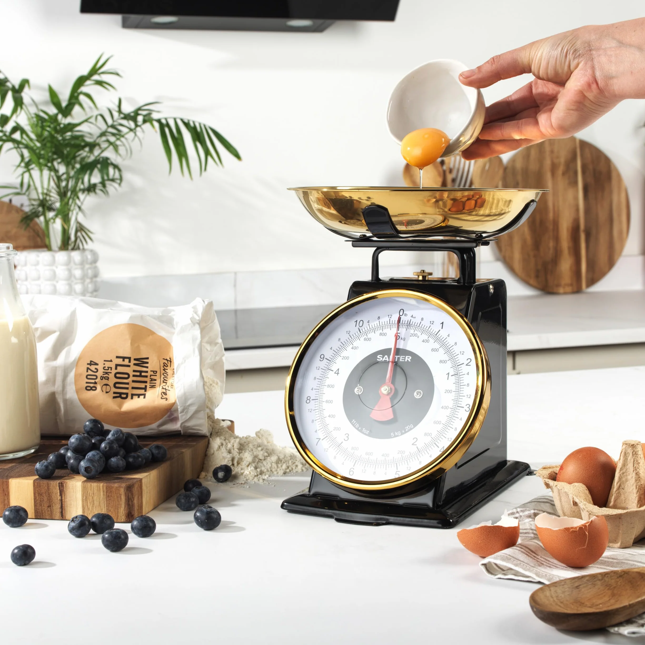 Salter Ponadczasowa waga kuchenna – mechaniczna waga do pieczenia, 5 kg, miska ze stali nierdzewnej 1 l, przyrost 20 g/1 funt, łatwe odczytanie dużych cyfr tarczy, wysokość 25 cm. Nie wymaga baterii