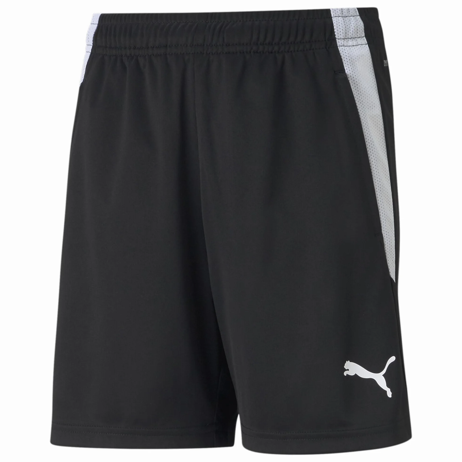 PUMA Teamliga Training Shorts Jr - Spodenki Uniseks