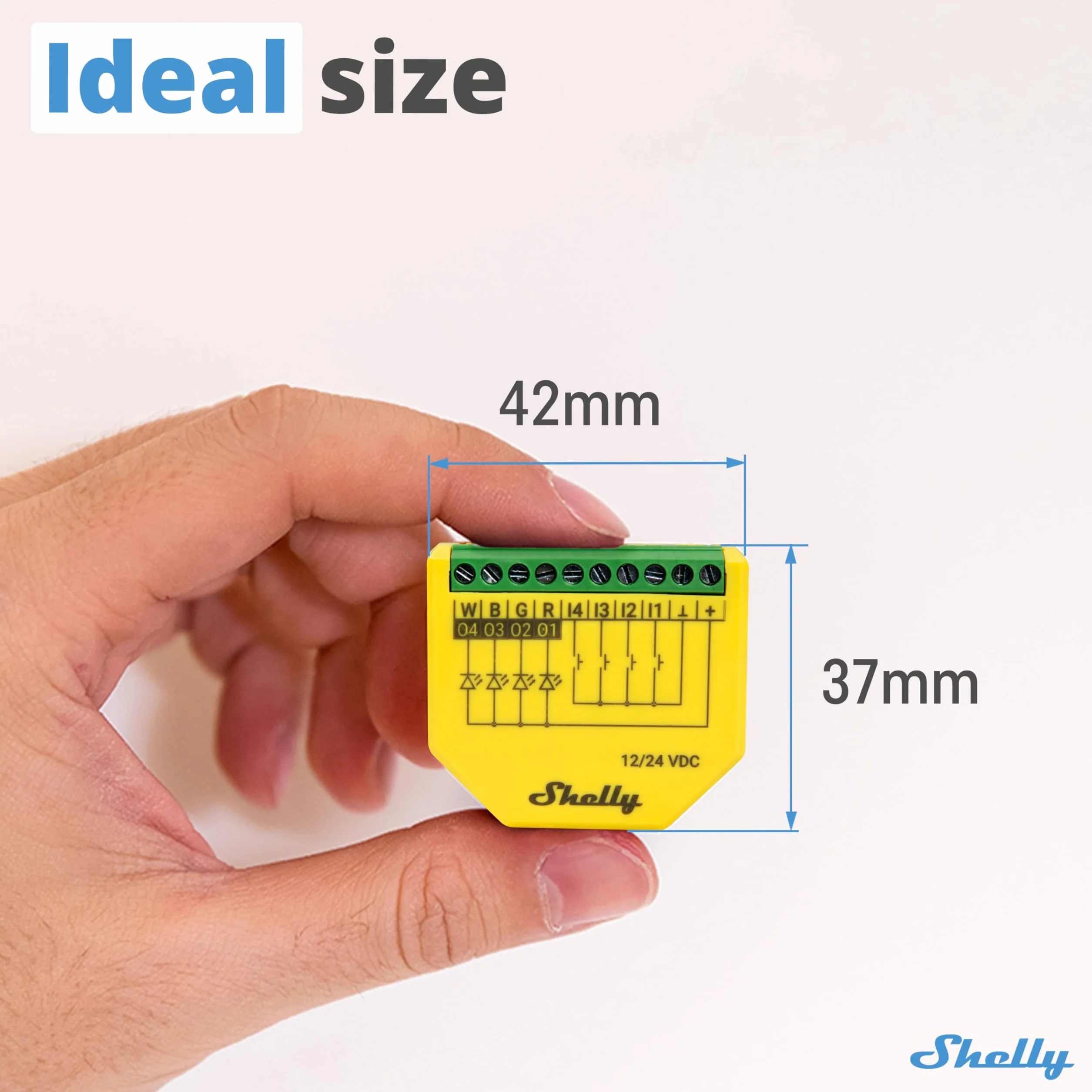 Shelly Plus RGBW PM - kontroler Wi-Fi do taśm LED 12-24 VDC białych lub kolorowych, RGB, RGBW i LED, funkcja pomiaru mocy, zdalne sterowanie, kompatybilny z Alexa, Google Home, aplikacją iOS, Android