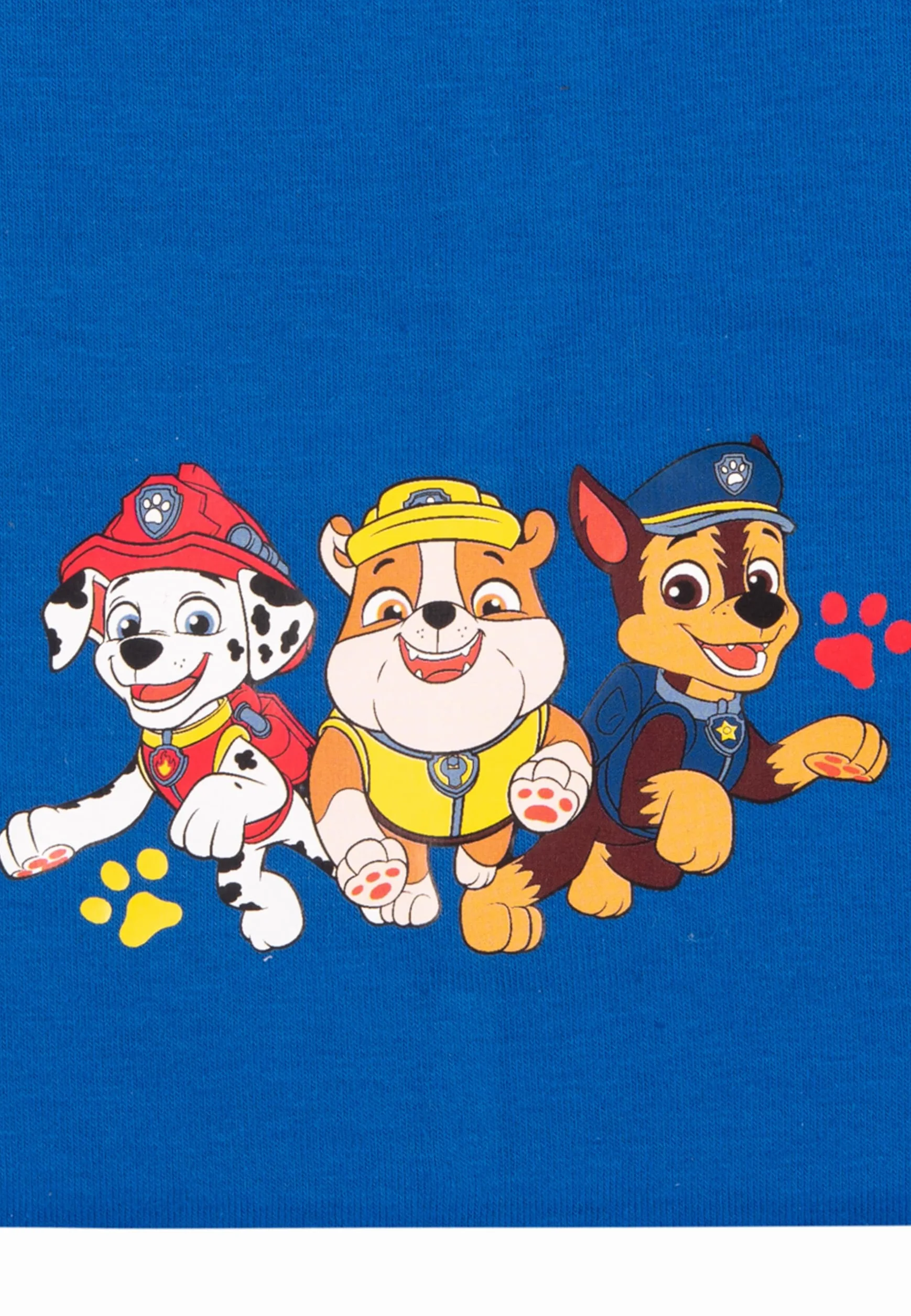 Psi Patrol Beanie dla młodzieży - dziecięca czapka przejściowa czapka niebieska, niebieski, jeden rozmiar