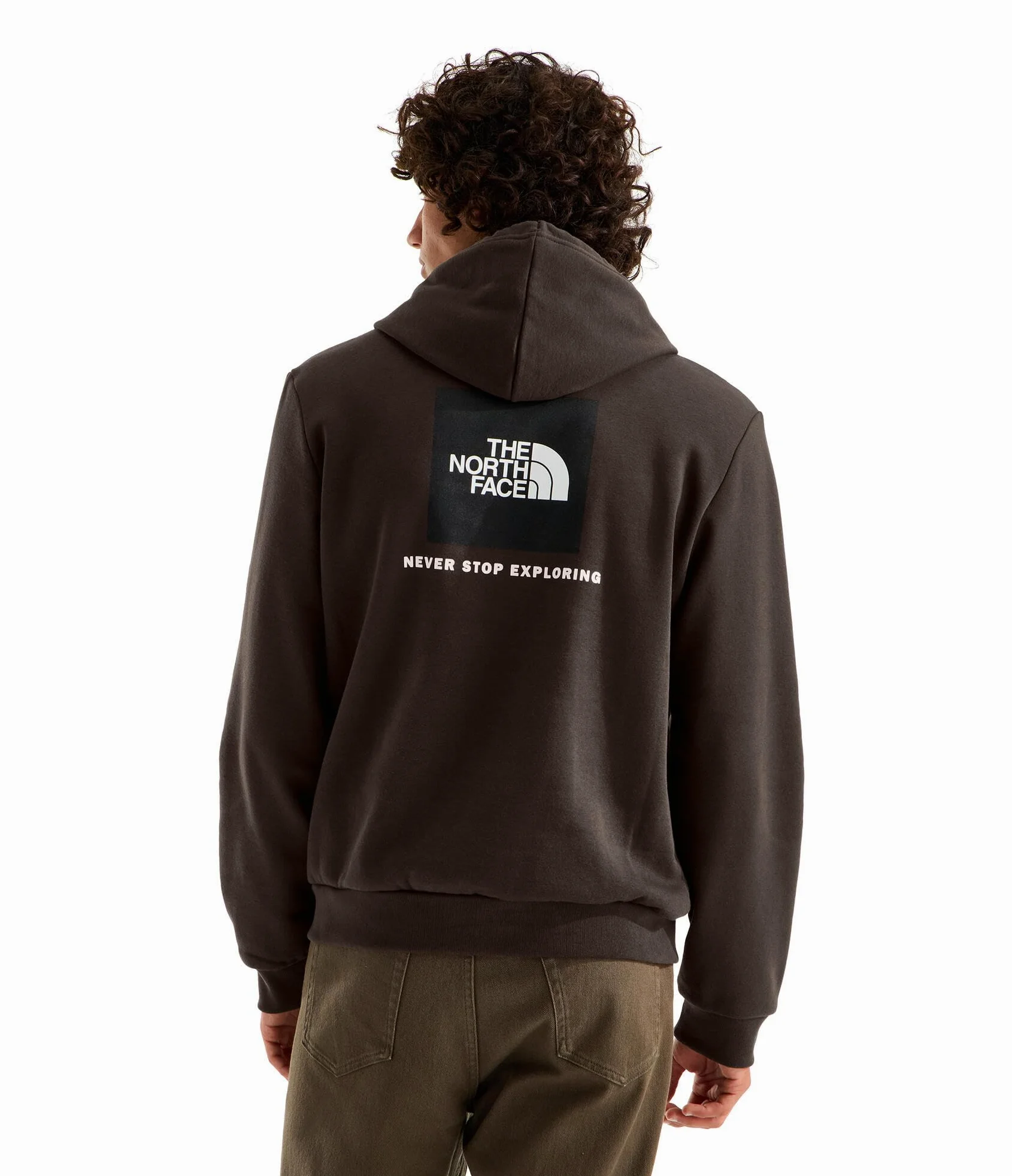 The North Face Męska bluza z kapturem Evolution Box NSE Regular z kapturem, ciemny kasztan, XL