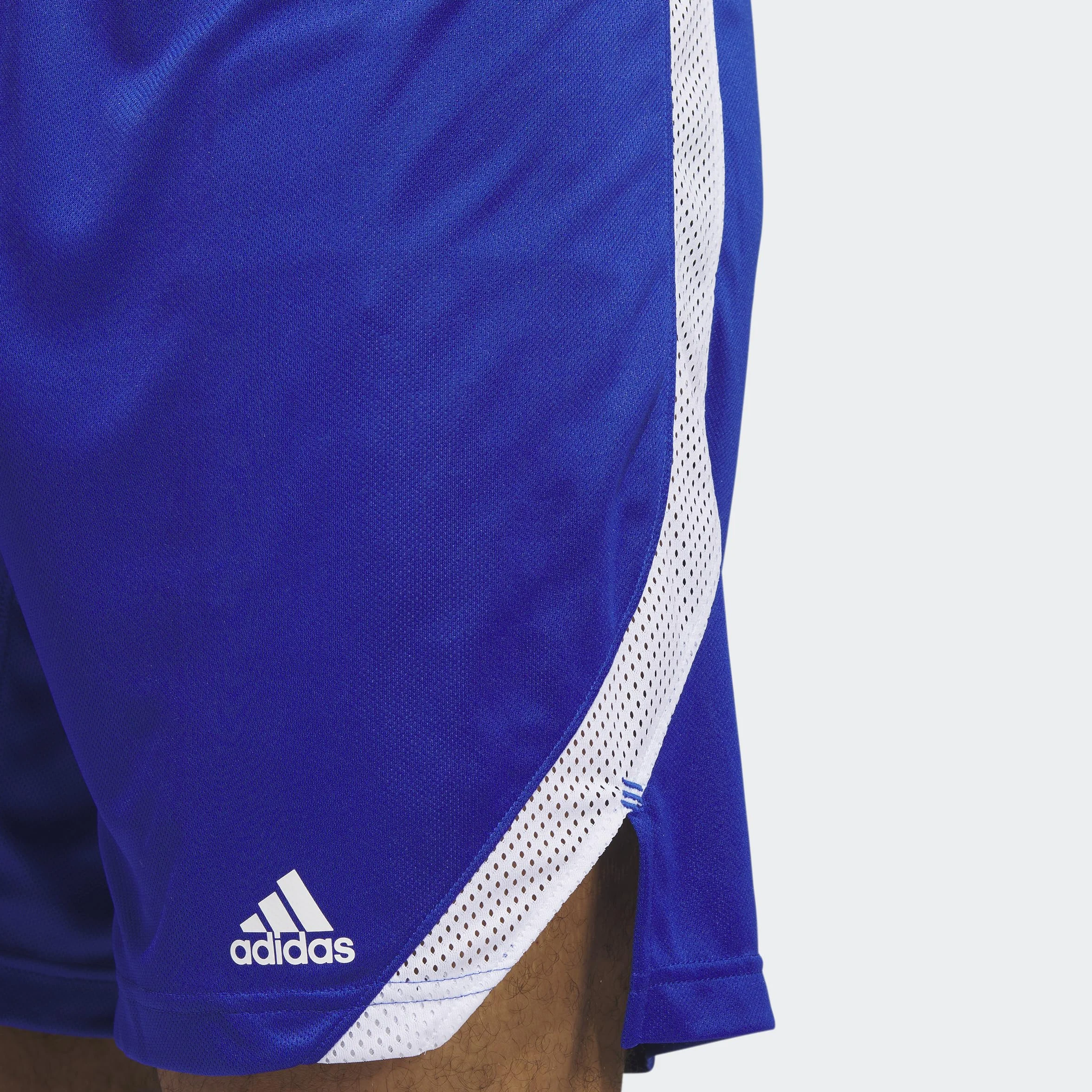 adidas Icon Squad Shorts - Szorty casualowe Mężczyźni