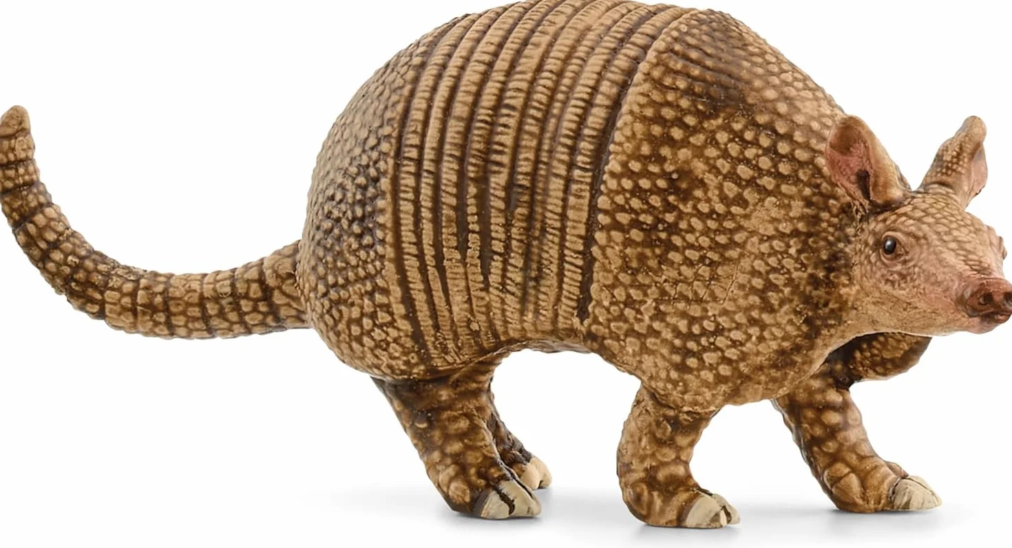 schleich WILD LIFE | Pancernik 14874 | szczegółowa figurka zwierzęcia i kolekcjonerska | realistyczna zabawka zoo | prezent dla dziewczynek i chłopców | figurka od 3 lat | 2 x 8 x 3 cm
