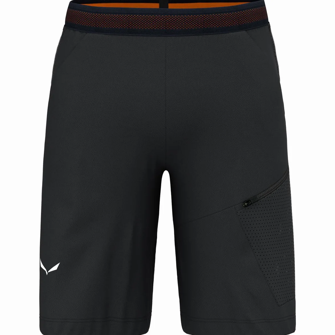 Salewa Pedroc 2 Dst Cargo Shorts M. Szorty Mężczyźni