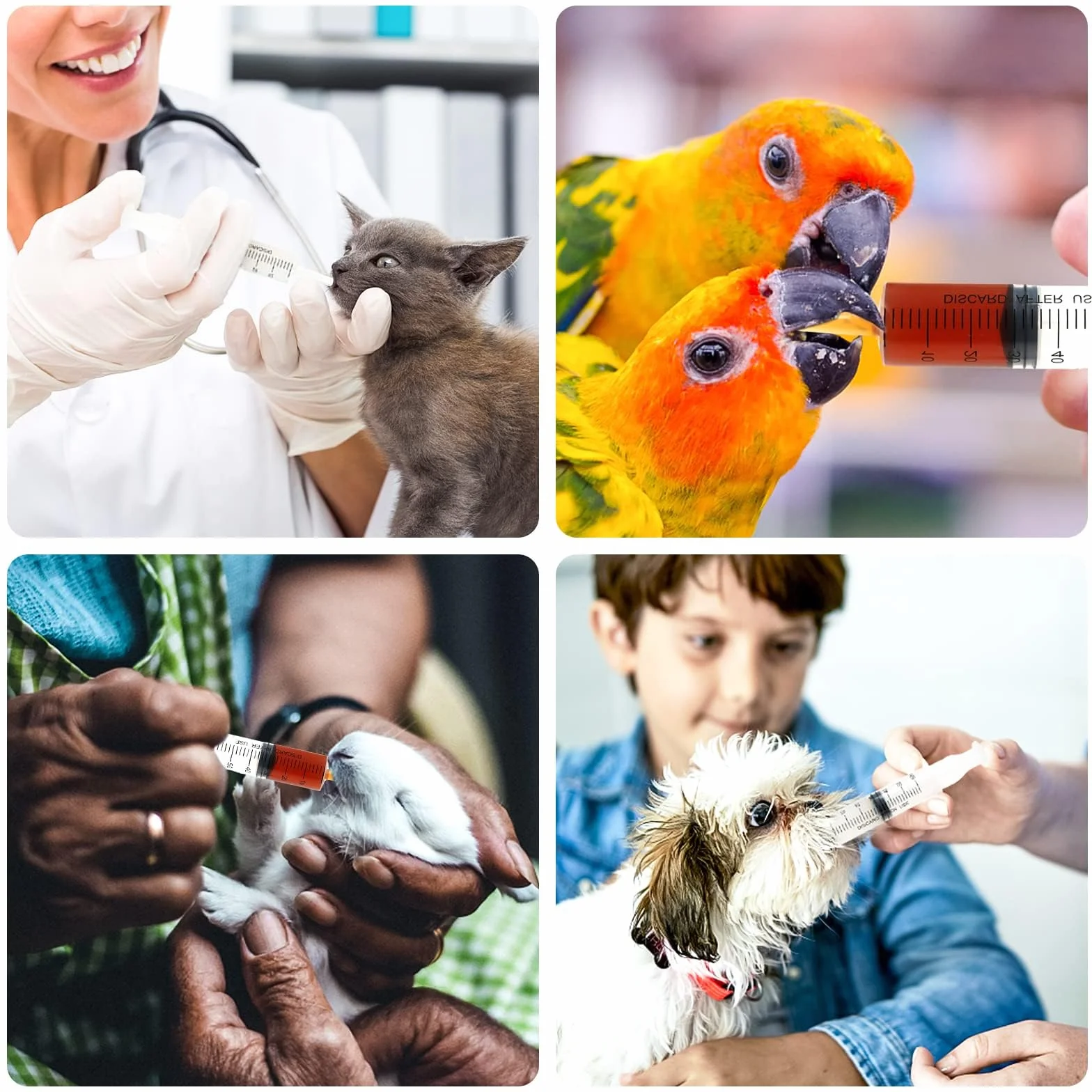 5 sztuk strzykawek 60 ml, strzykawki z wężem, plastikowa strzykawka wielokrotnego użytku, bez igły, strzykawka do karmy, pojedynczo sterylnie zapakowana, do karmienia zwierząt domowych