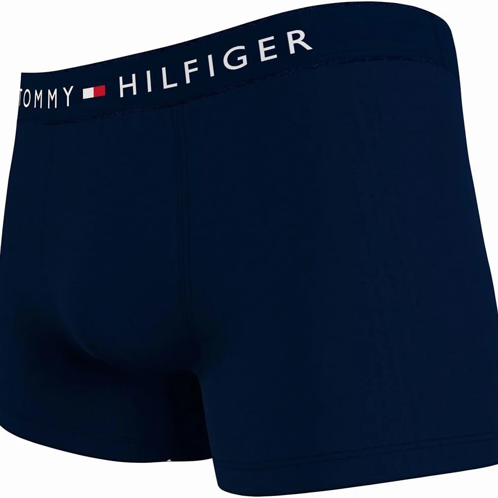 Tommy Hilfiger Męski bagażnik (3 sztuki), Czarny (Des Sky/Grey Htr/Des Sky), L