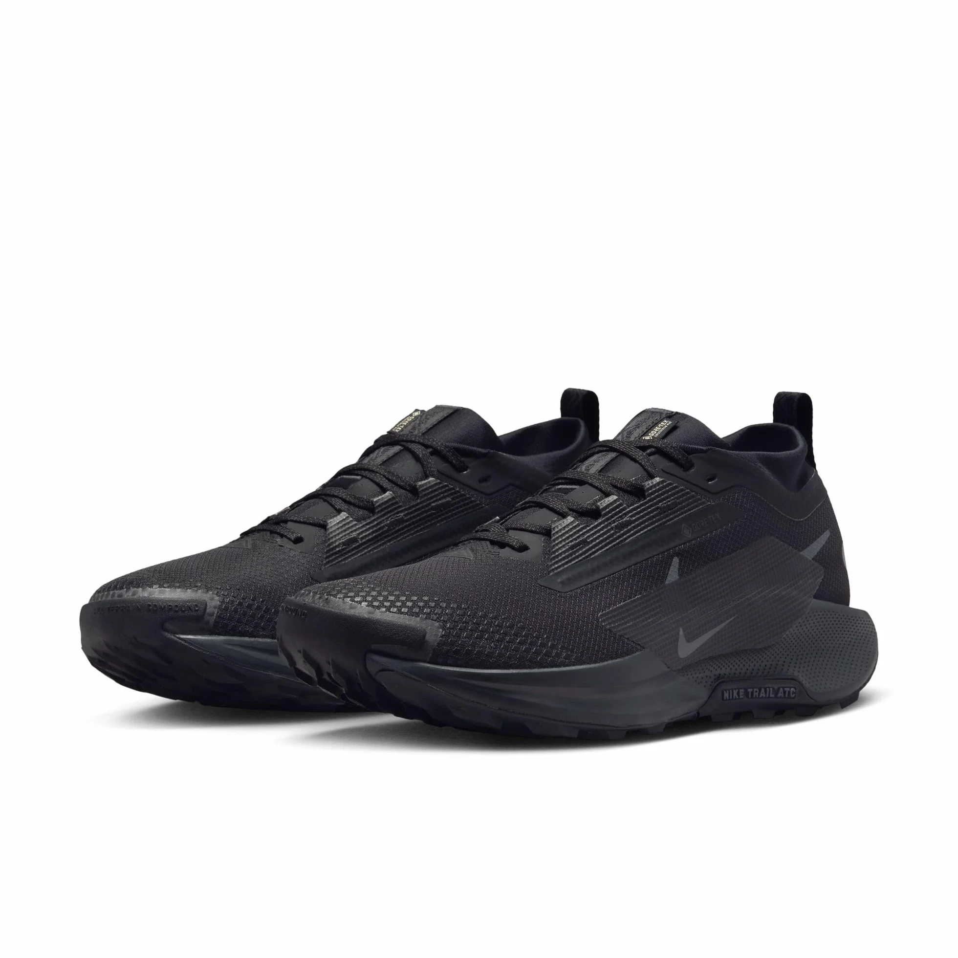 NIKE Mężczyźni Nike Pegasus Trail 5 Gore-texButy sportowe