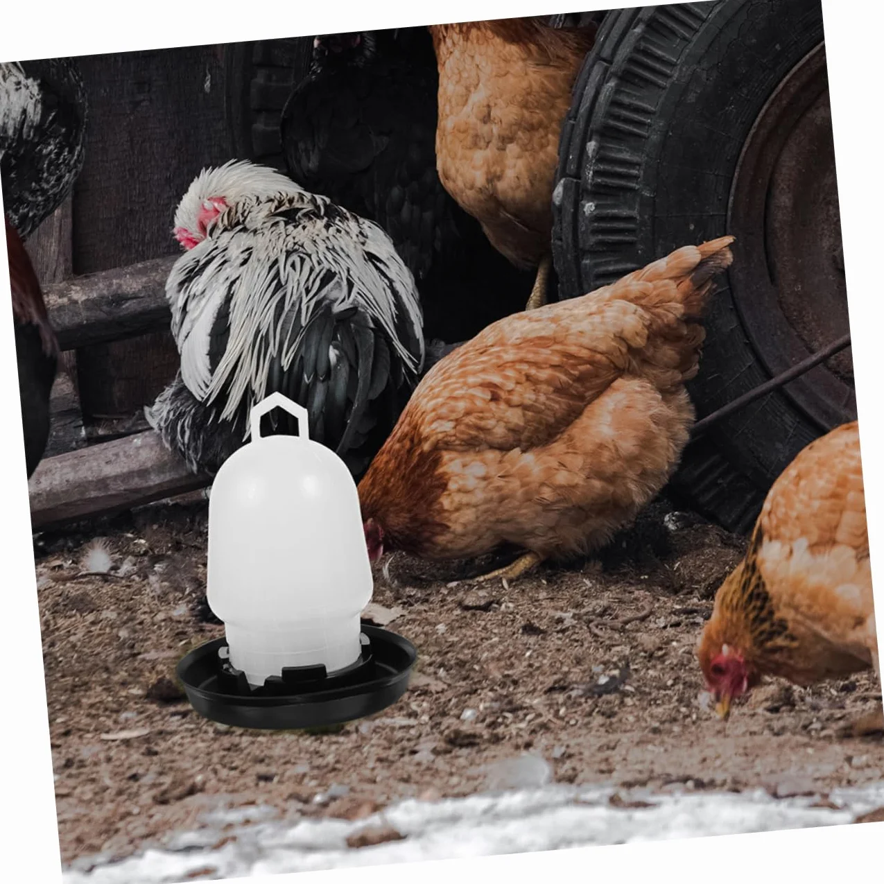 Levemolo 2kawałki Automatyczny Poidło Dla Kurcząt Plastikowy Podajnik Wodę Łatwe Do Czyszczenia Odporne Słońce Dla Drobiu