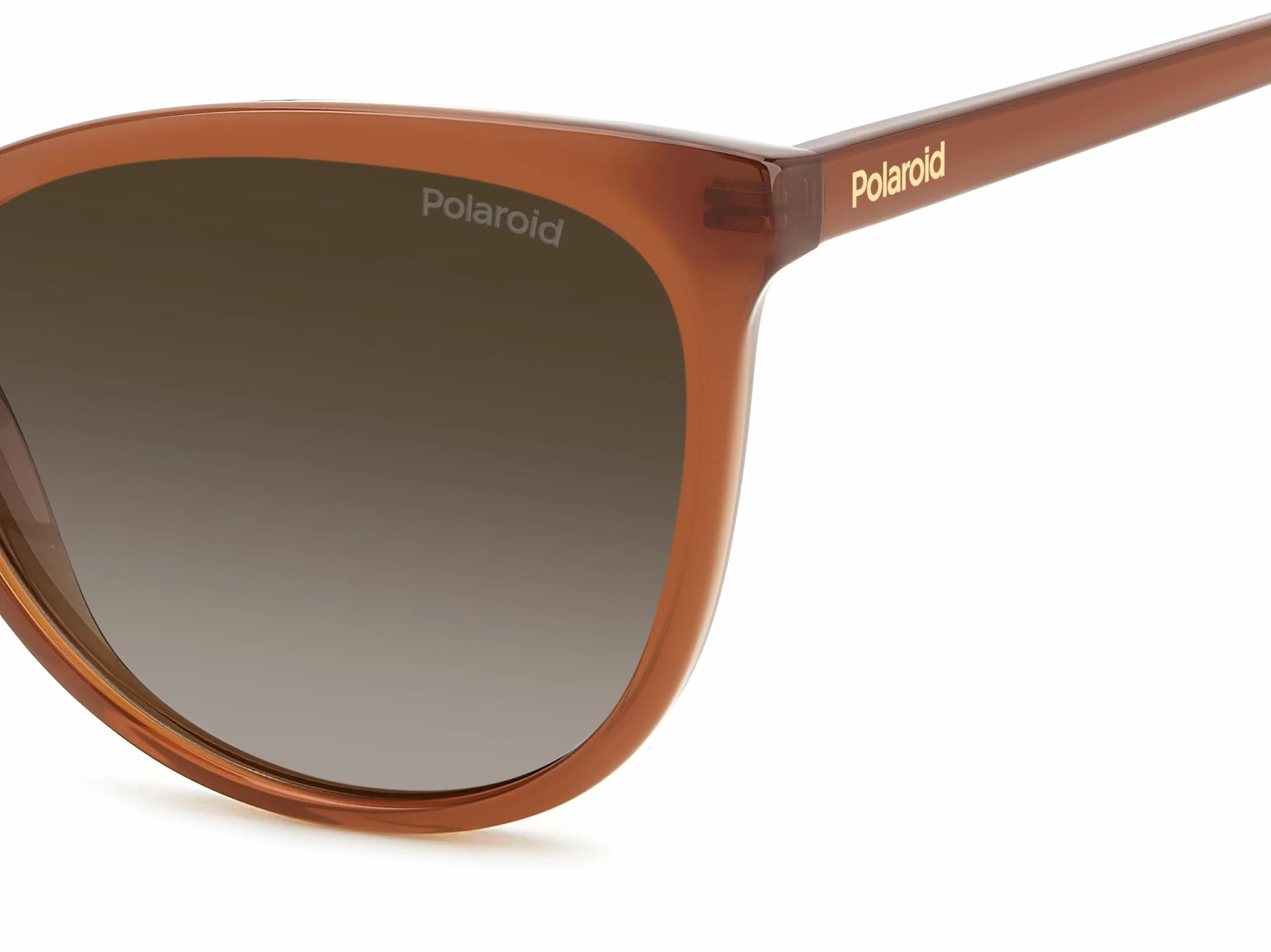 POLAROID Okulary damskie wielokolorowe 55