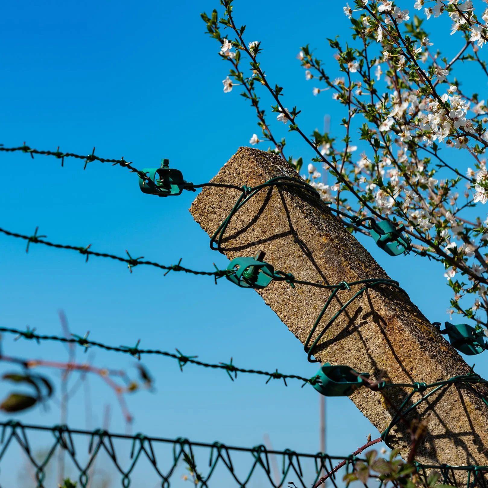 10 sztuk napinaczy do drutu z ocynkowanej stali, napinacz do ogrodzeń, drutu ogrodowego, domu (zielony)