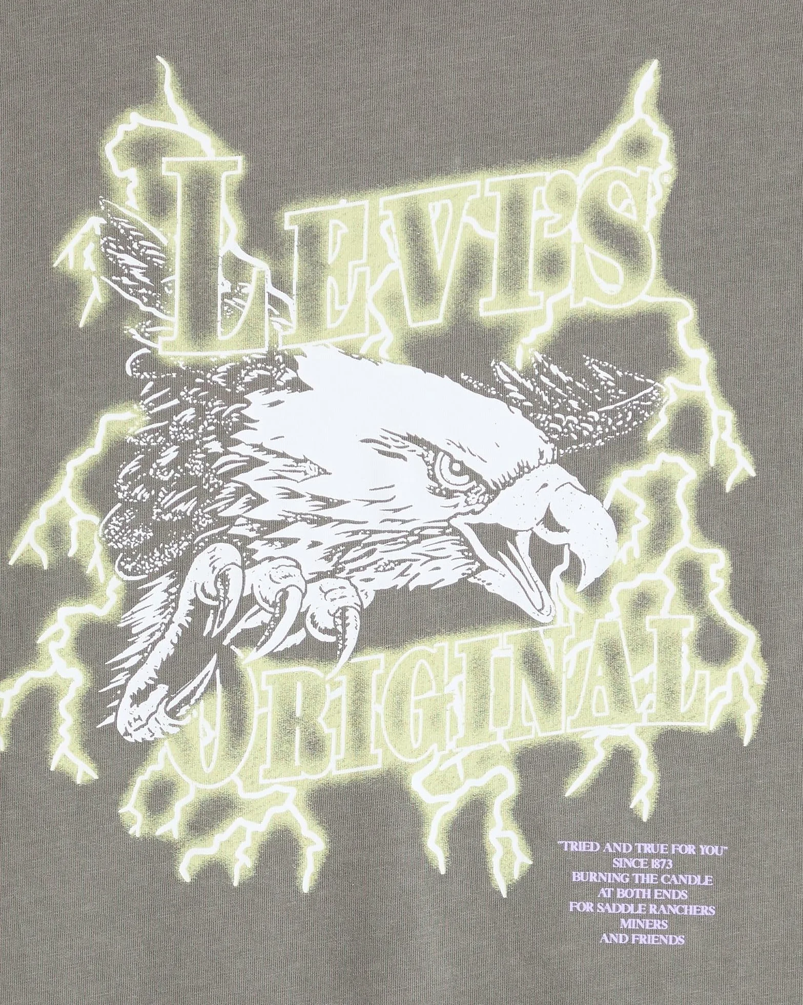 Levi's Ss Relaxed Fit Tee Lightning Eagle Smoke, Lightning Eagle Smok, L