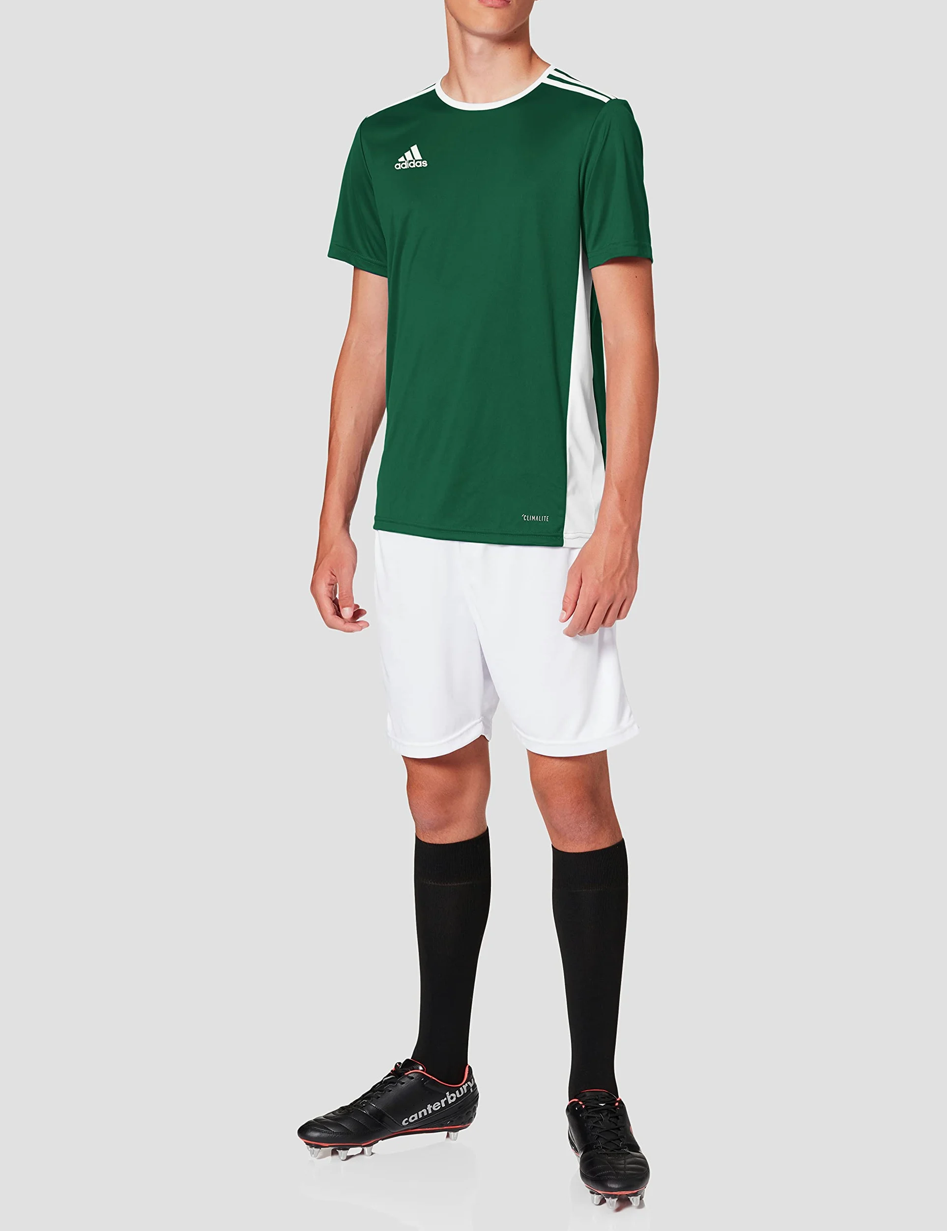 adidas Męska koszulka Entrada 18 JSY (krótki rękaw)