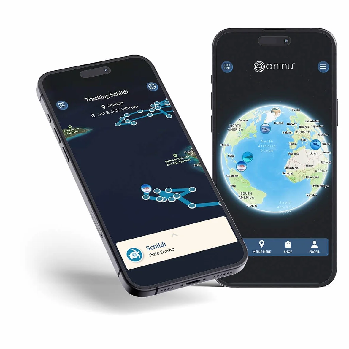 Turtles żółw ze srebra próby 925 z GPS Live Tracking + aplikacja – kolczyki damskie na chrzciny, dla dziewcząt, kobiet, prezent, 2,5 x 2,5 cm, srebro wysokiej próby 925, opal