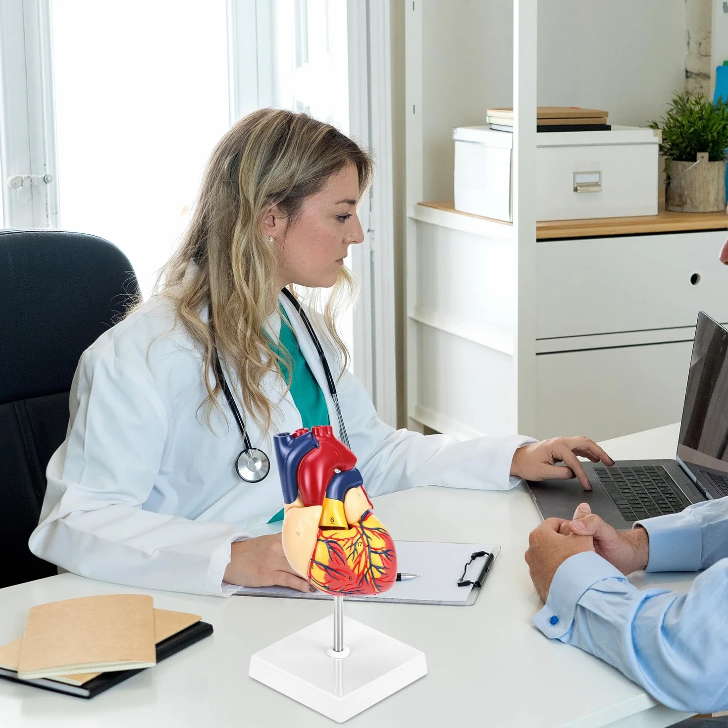QWORK® Scientific Human Heart Model for Anatomy, 2-częściowe modele serca naturalnej wielkości z 34 oznaczeniami anatomicznymi i podstawą z PVC do lekcji szkolnych