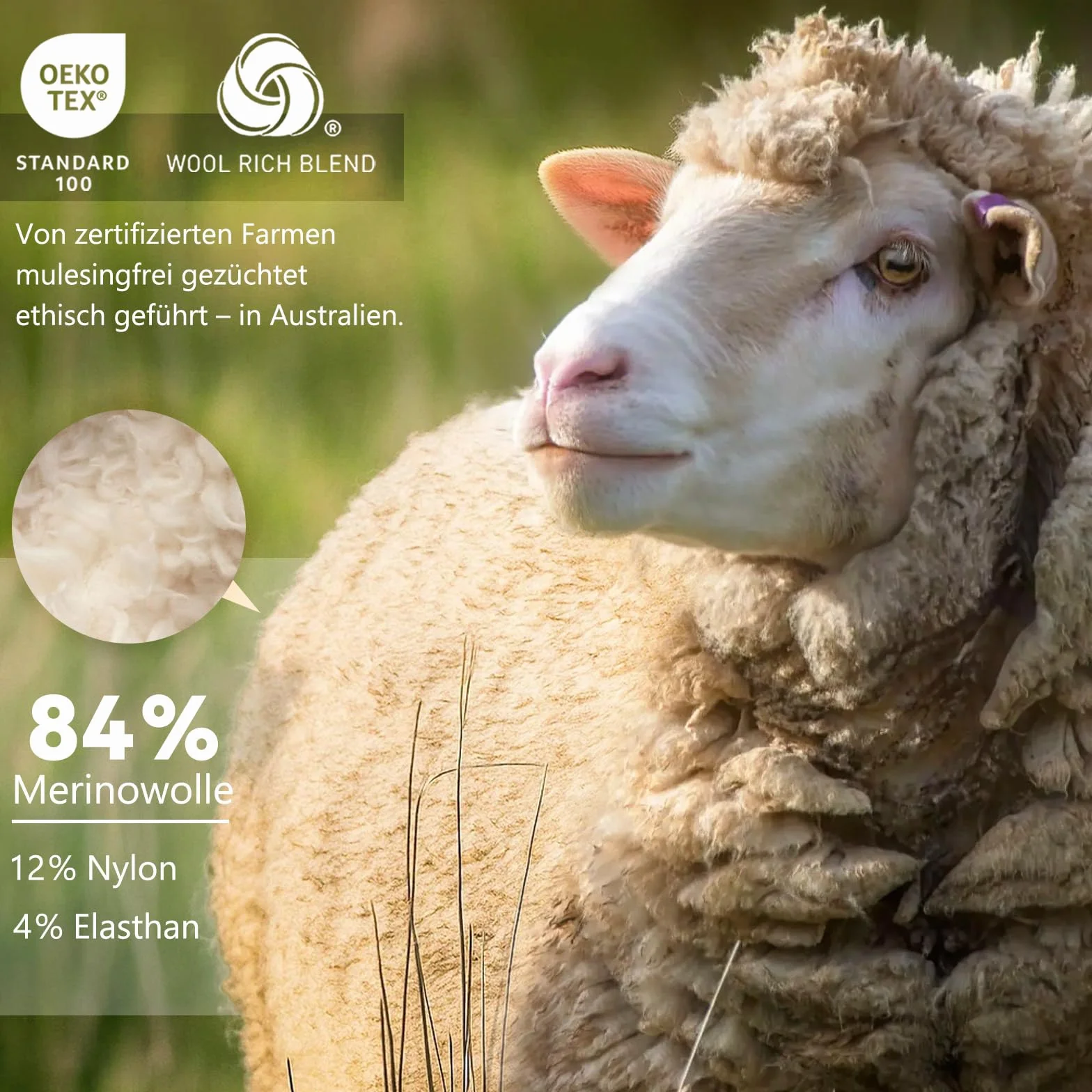 Merino Protect Męska koszulka z wełny merynosowej Anti-odor funkcjonalna lekka termiczna do uprawiania turystyki pieszej i podróży, Czarny (Black), M