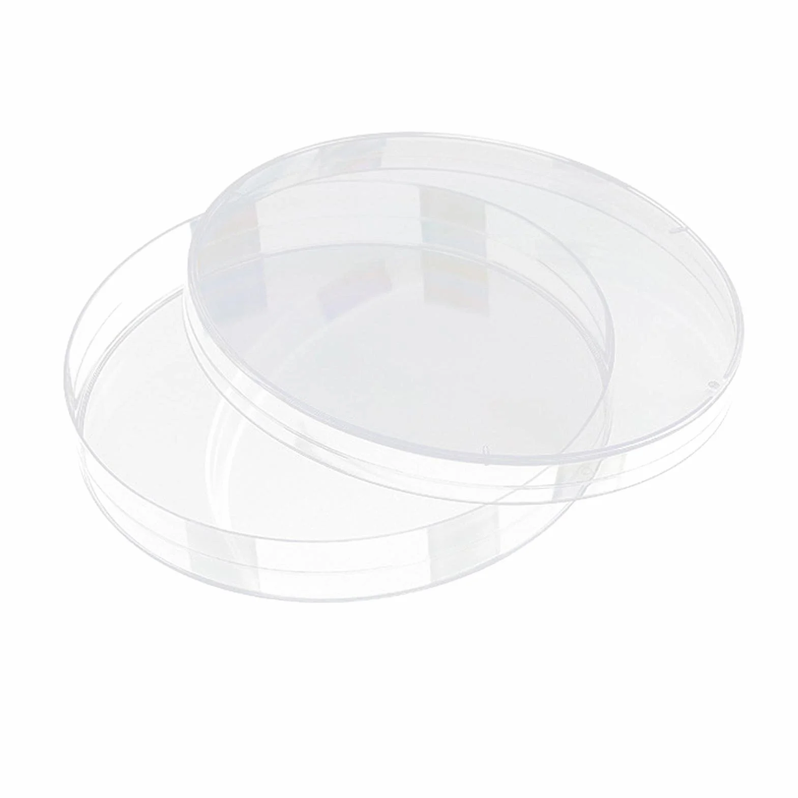 Naczynia Petri 60 * 60 * 15 mm, 10 szt Plastikowe Naczynia Petriego z Pokrywką Przezroczyste sterylne dla Mikroorganizmów Komórki Drożdże Bakteryjne