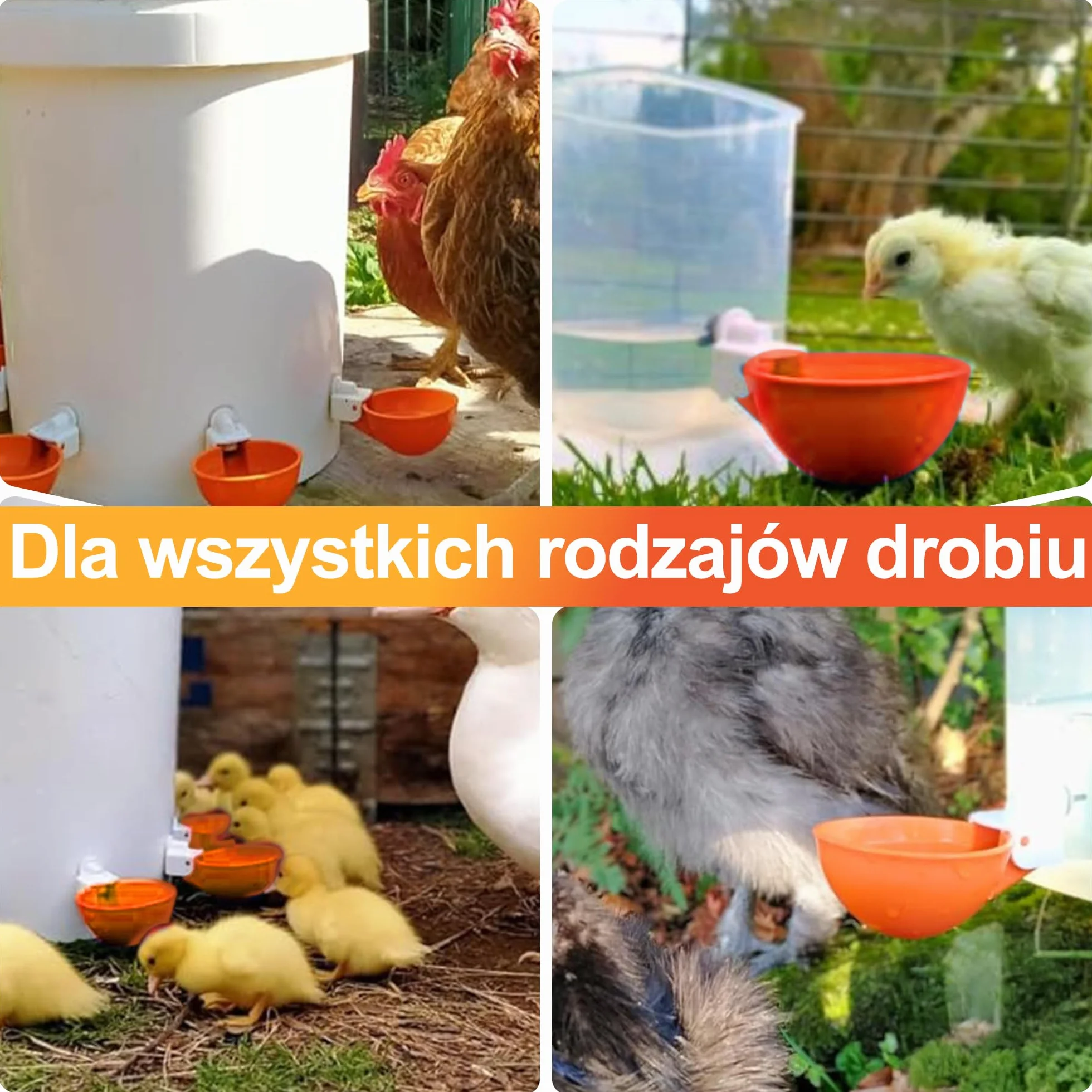 ZenxyHoC DIY kubek na wodę dla kurcząt, 6 sztuk, automatyczny zestaw poidła dla drobiu