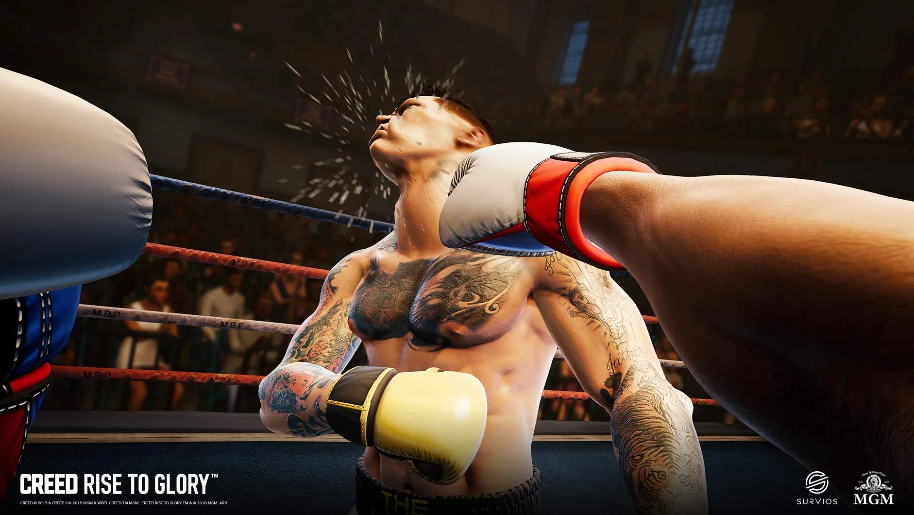 PERP CREED: RISE TO GLORY, PS4 STANDARD ANGLAIS PLAYSTATION 4