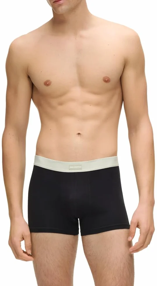 KARL LAGERFELD B.V Trunks Mężczyźni Karl Lagerfeld, Men's, Logo Patch Elastic Trunk (7 Pack)