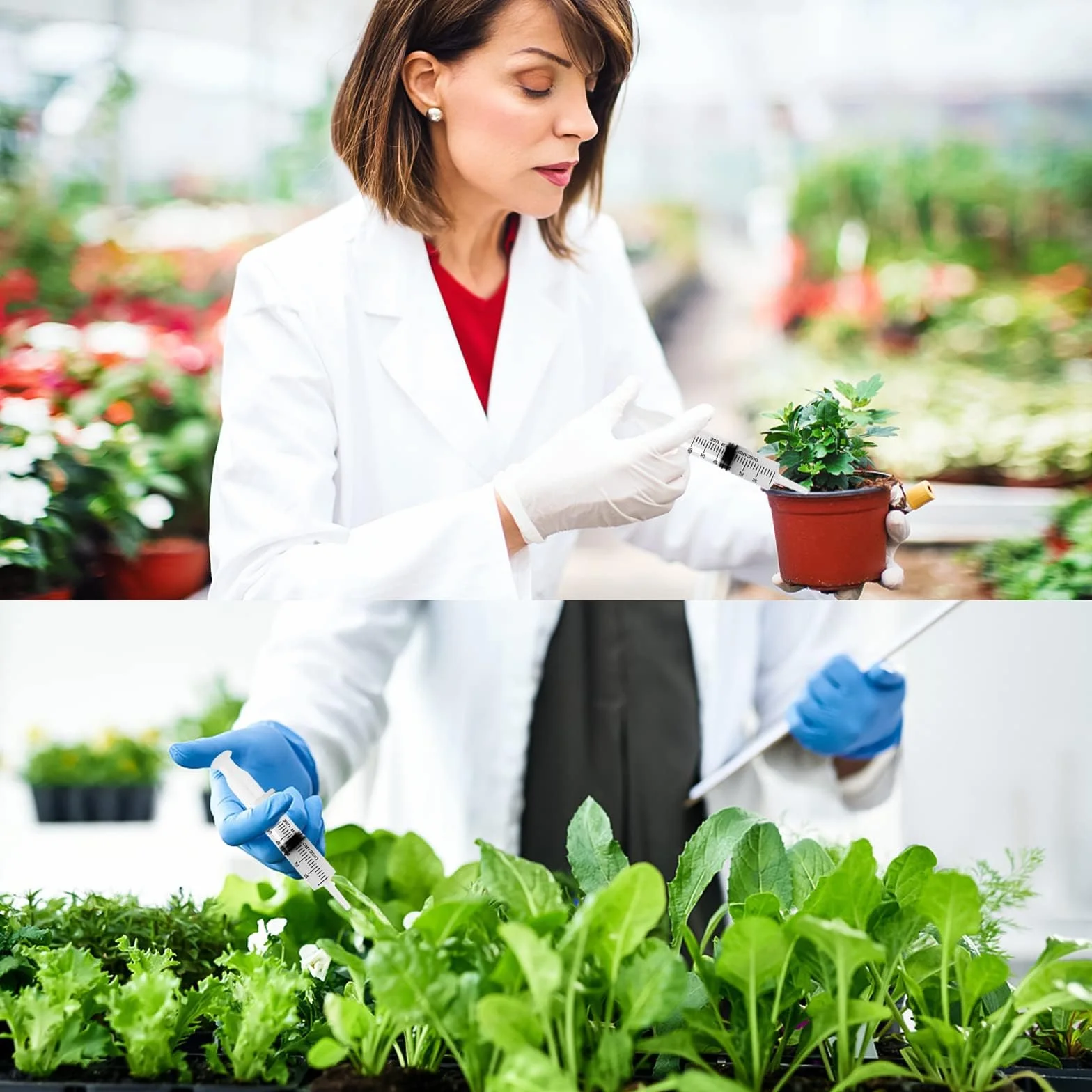 4 x strzykawka z tworzywa sztucznego 60 ml, strzykawka z tworzywa sztucznego z wężem, wielokrotnego użytku, indywidualnie zamknięte opakowanie, do laboratorium, karmy dla zwierząt, nawadniania roślin