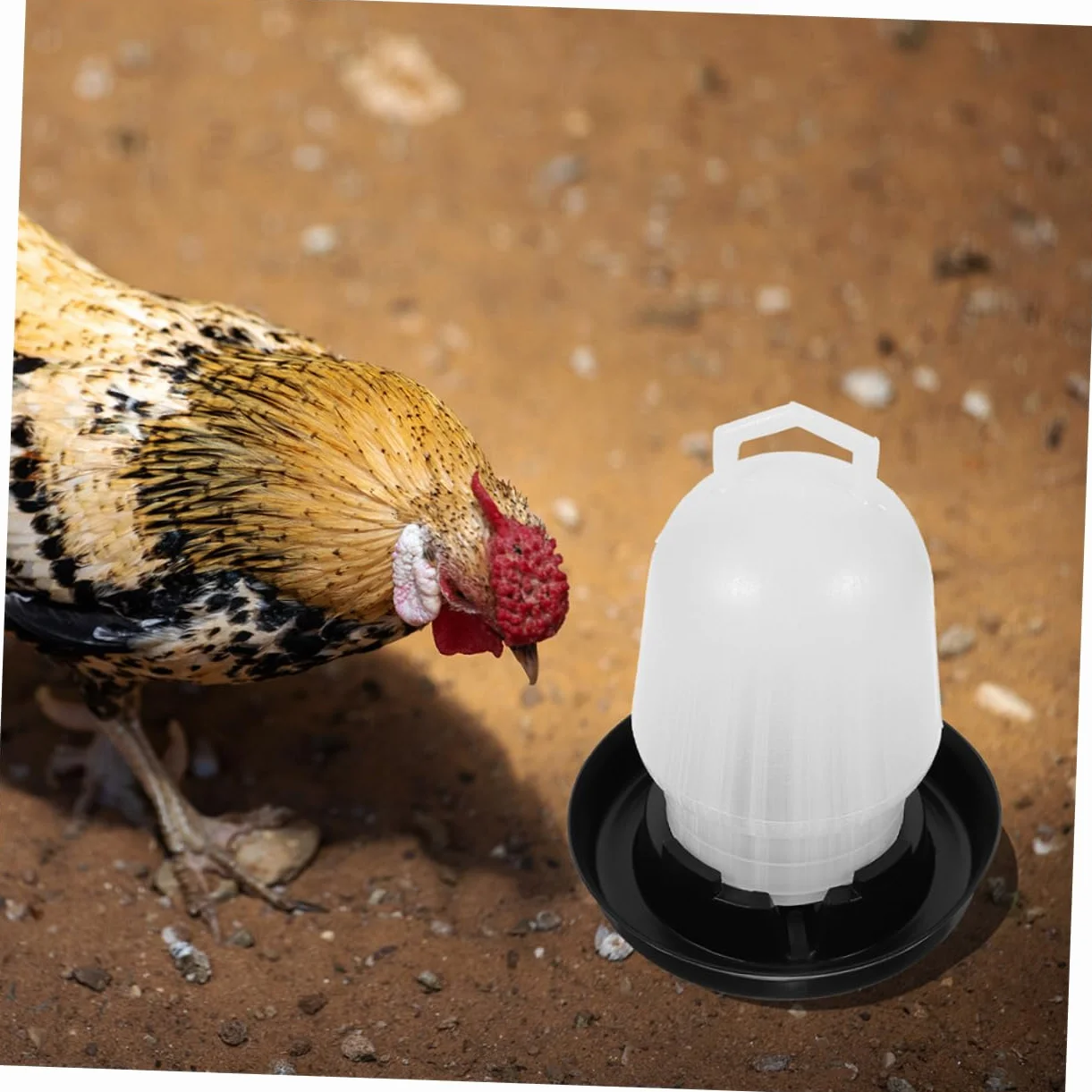 Levemolo 2kawałki Automatyczny Poidło Dla Kurcząt Plastikowy Podajnik Wodę Łatwe Do Czyszczenia Odporne Słońce Dla Drobiu