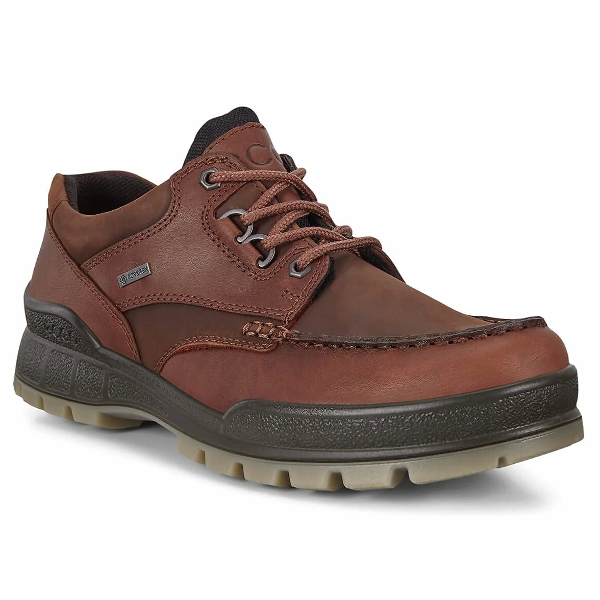 ECCO Mężczyźni ECCO TRACK 25Buty outdoorowe