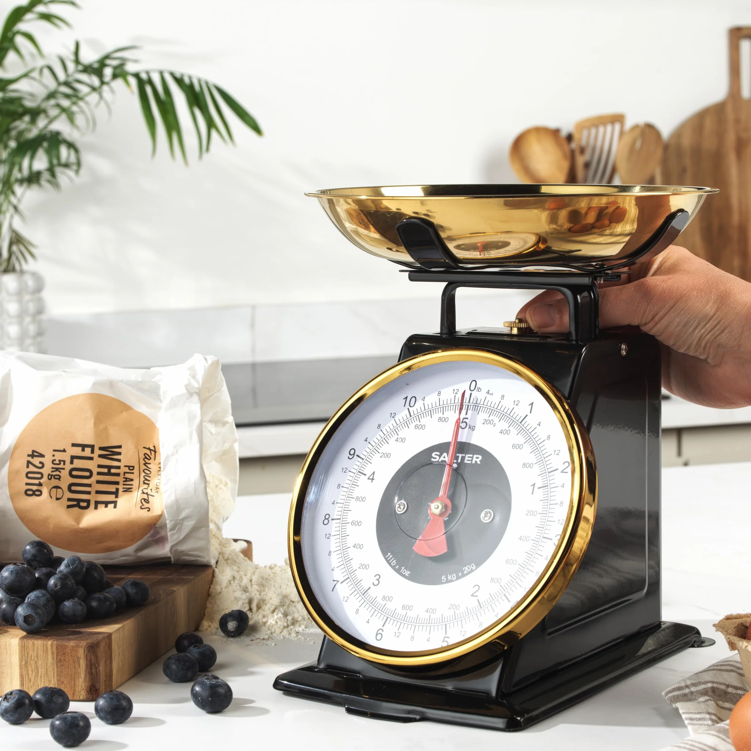 Salter Ponadczasowa waga kuchenna – mechaniczna waga do pieczenia, 5 kg, miska ze stali nierdzewnej 1 l, przyrost 20 g/1 funt, łatwe odczytanie dużych cyfr tarczy, wysokość 25 cm. Nie wymaga baterii