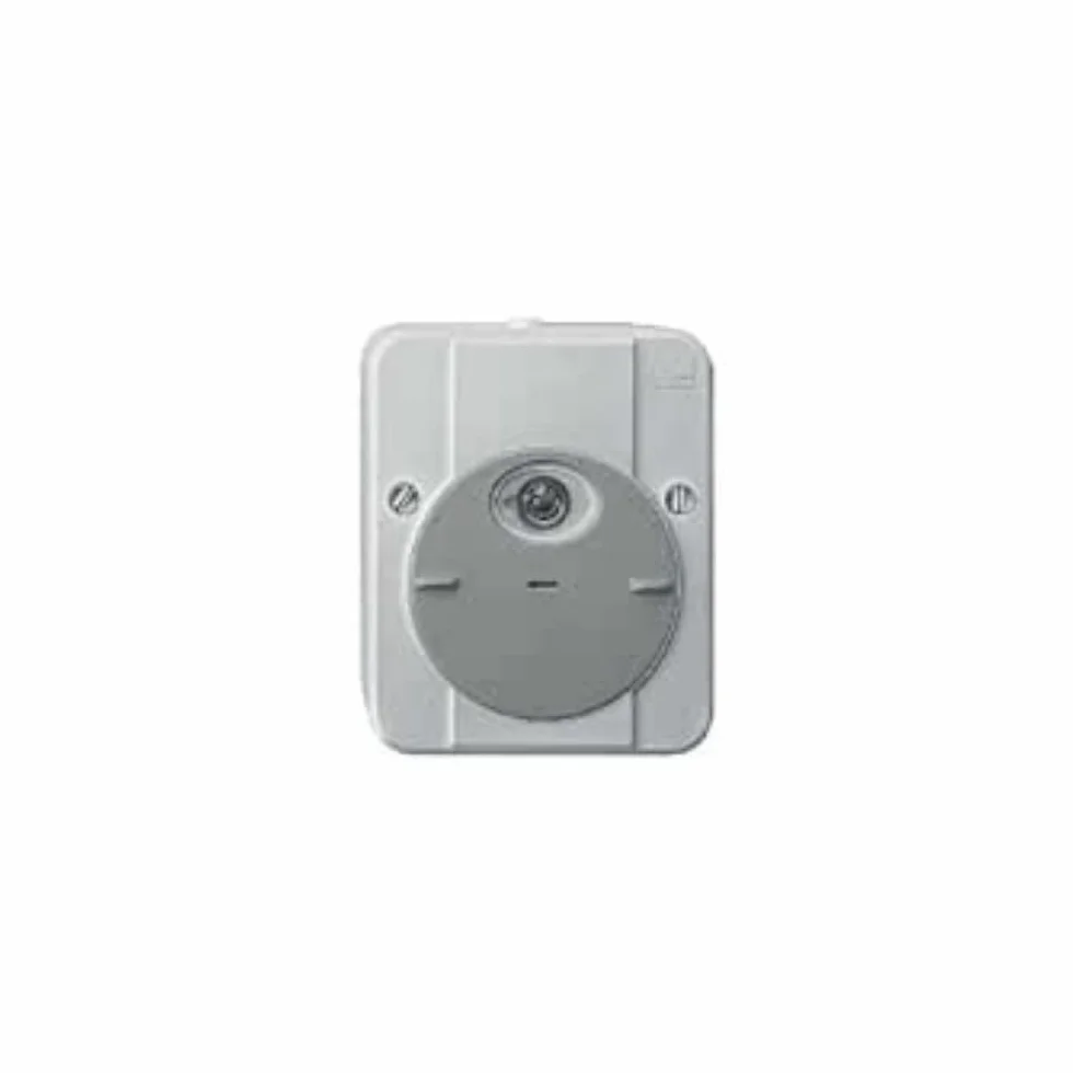 Schneider Electric mtn544894 ARGUS przełącznik fotosensible z opóźnieniem, jasnoszary