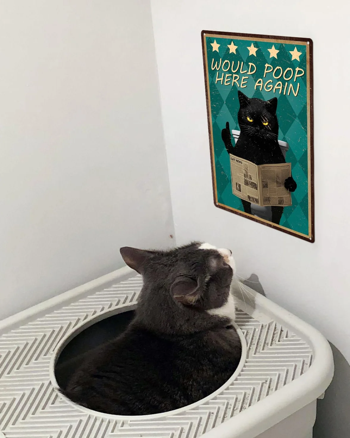 Piemow Zabawny czarny kot metalowy znak dekoracja ścienna 'Would Poop Here Again' vintage artystyczne plakaty prezent dla miłośników kotów łazienka toaleta dekoracja 20 x 30 cm