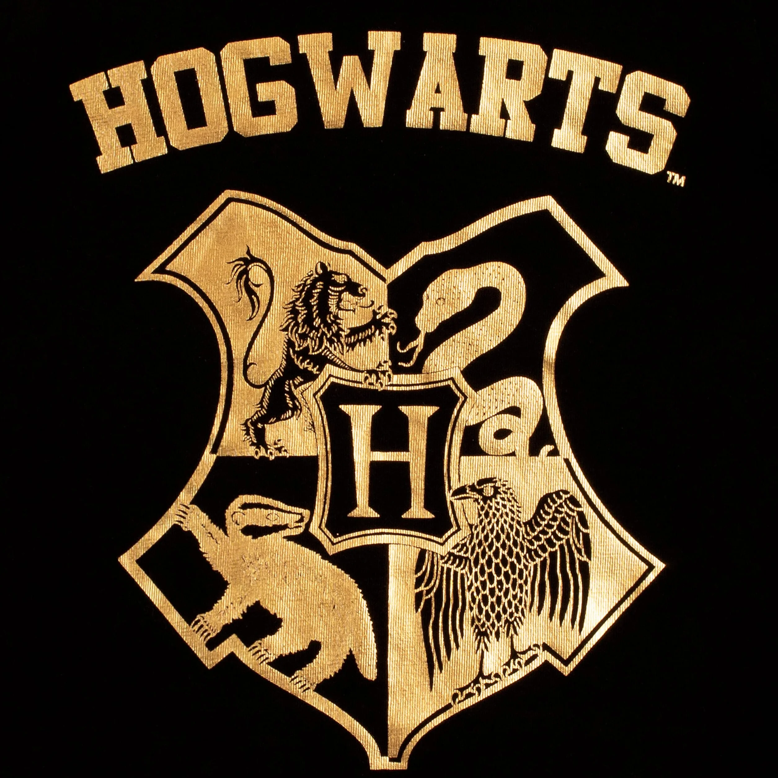 Harry Potter Piżama chłopięca Hogwart