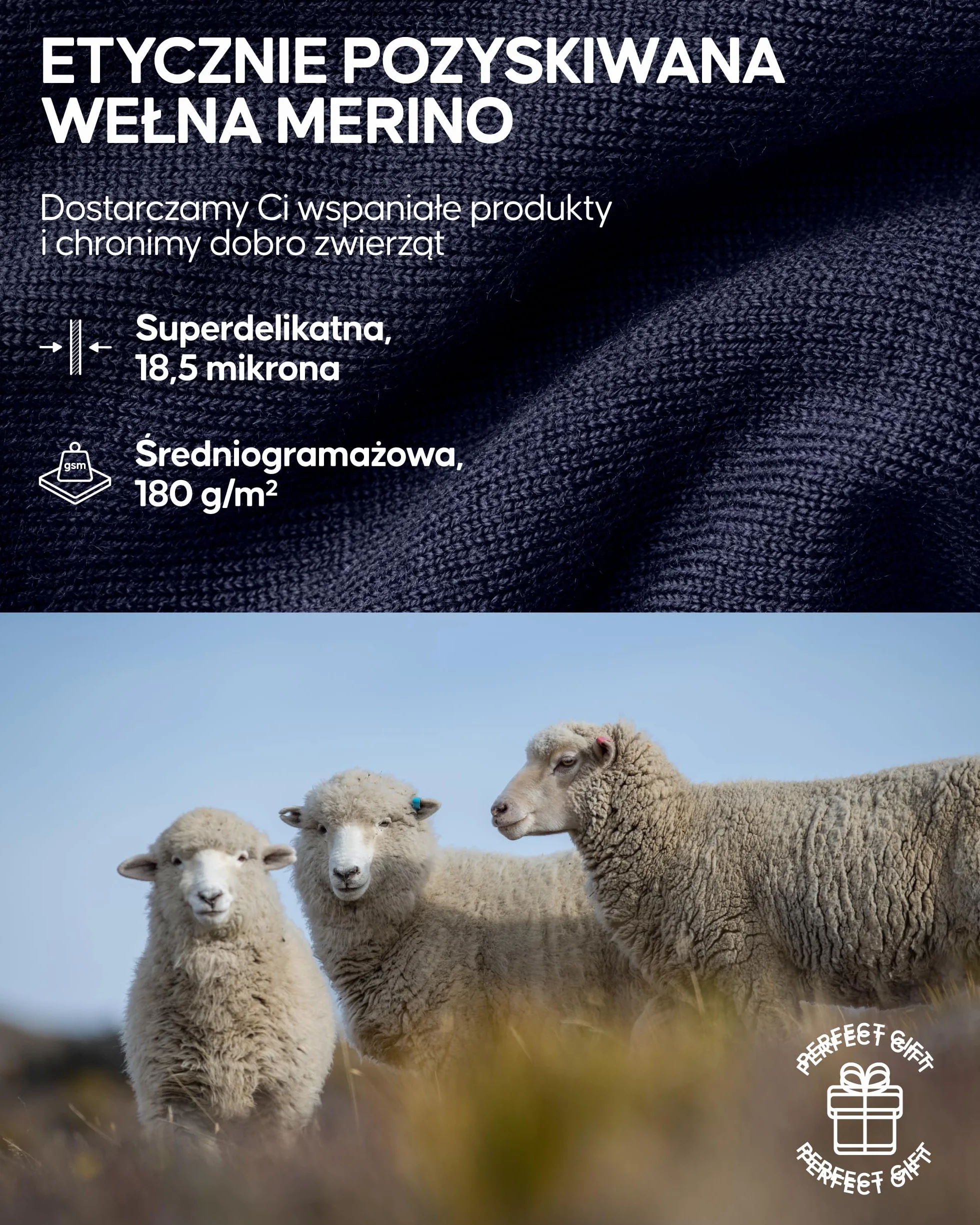 DANISH ENDURANCE Bielizna Termoaktywna Merino, Długie Kalesony Męskie, Wełna Merino, Zestaw Termoaktywny, Odzież Termiczna na Zimę