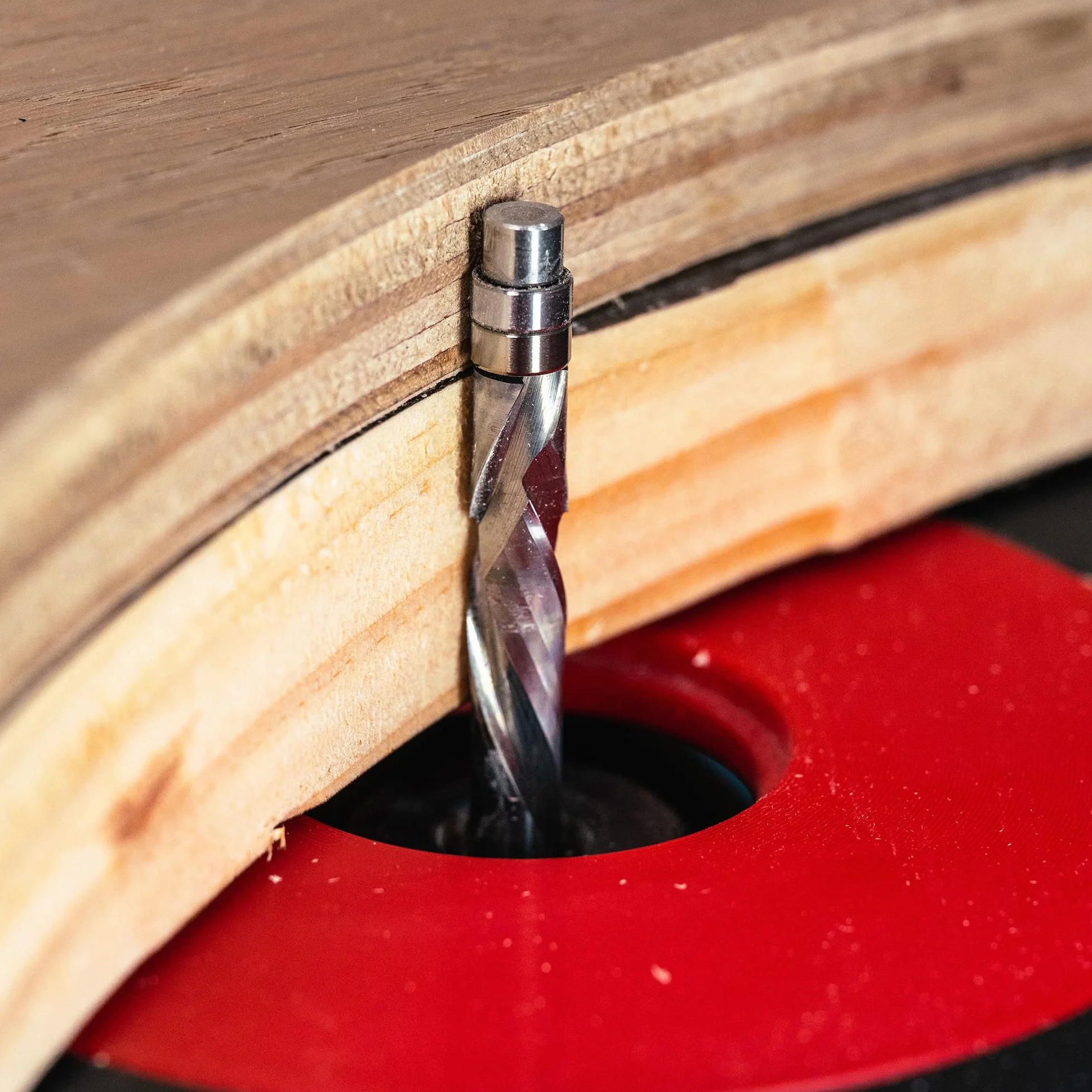 SpeTool Up&Down frez z podwójnym łożyskiem - 8 mm średnica nasadki, długość cięcia 32 mm - spiralna twarda metalowa kompresja rowkowa do drewna