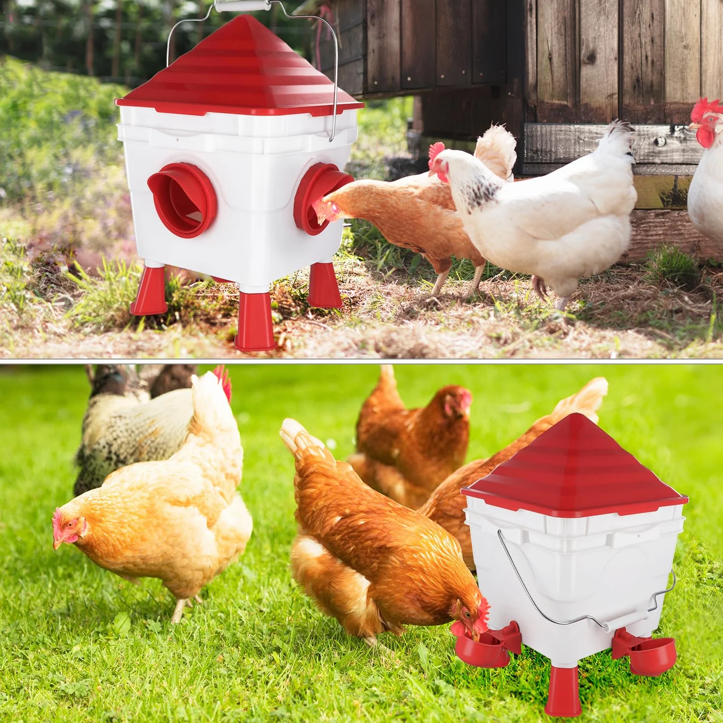QWORK® zestaw do karmienia i picia dla kurczaków, pojemnik na karmę 6 kg i dozownik wody 8,5 l - ze zdejmowanymi nóżkami i stalowymi łańcuchami