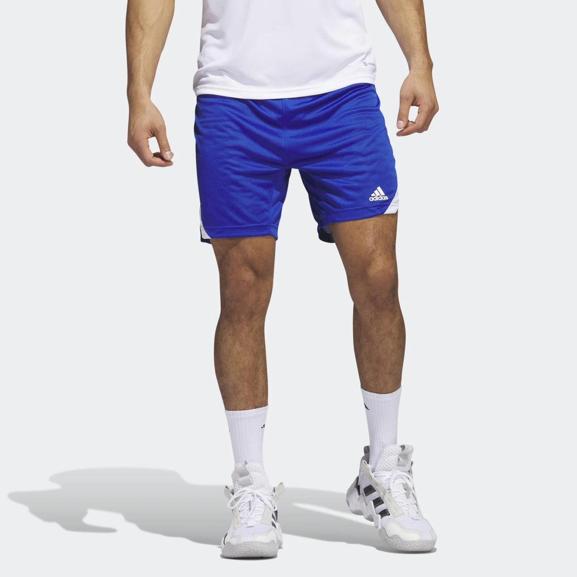 adidas Icon Squad Shorts - Szorty casualowe Mężczyźni