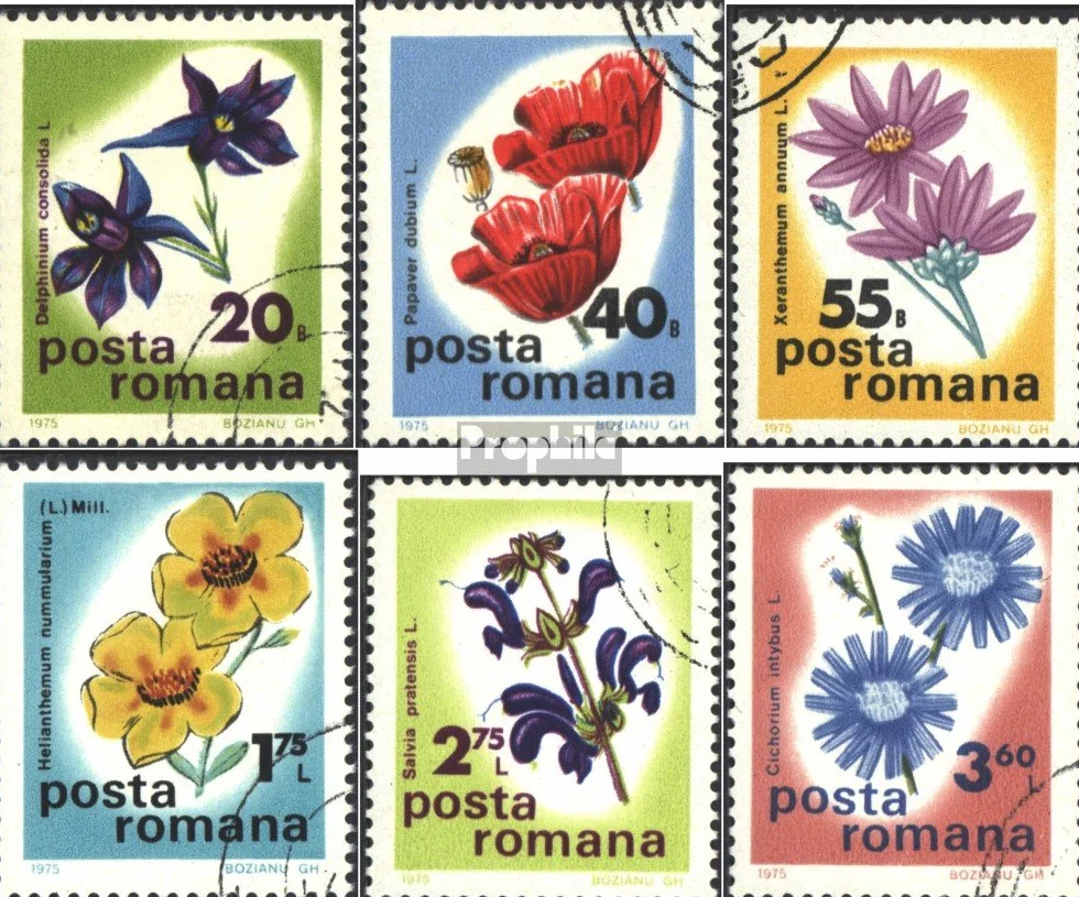 Rumunia 3285-3290 (pe?ne.Kwestia.) 1975 Polne kwiaty (Znaczki dla kolekcjonerów) rosliny/grzyby