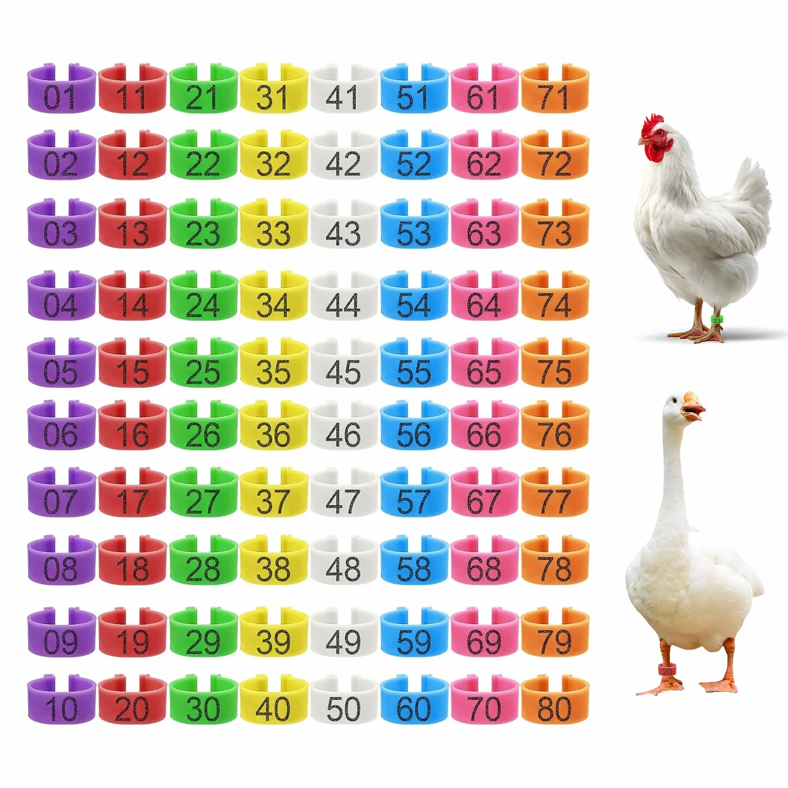 100 sztuk pierścieni spiralnych dla kurcząt, dla kur, kaczek, gęsi i innych rodzajów drobiu, otwarte nogi zatrzaskowe (różne kolory, 16 mm)