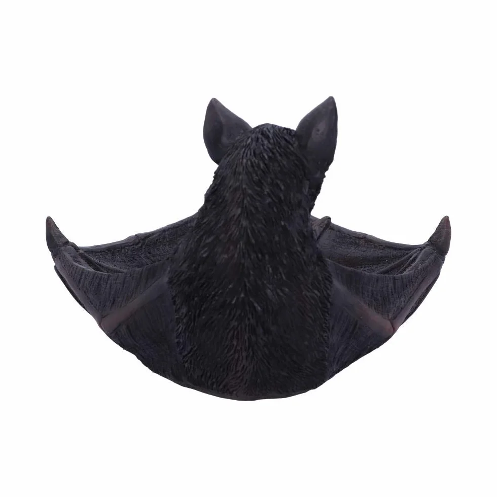 Nemesis Now Winged Watcher Bat uchwyt na drobiazgi, naczynie na biżuterię, żywica poliestrowa, czarny