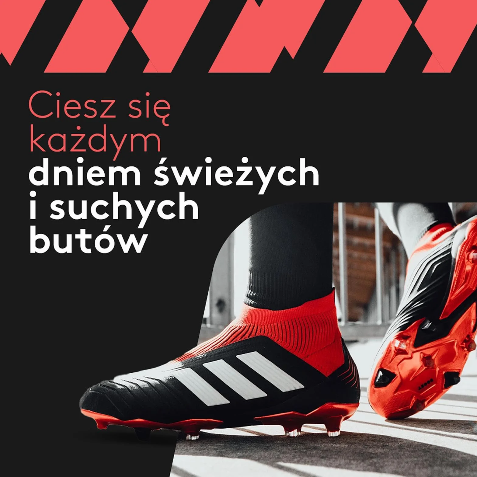 ShoeDry Ozone suszarka i odświeżacz do butów - suszarka do butów - suszarka do butów narciarskich - suszarka do butów