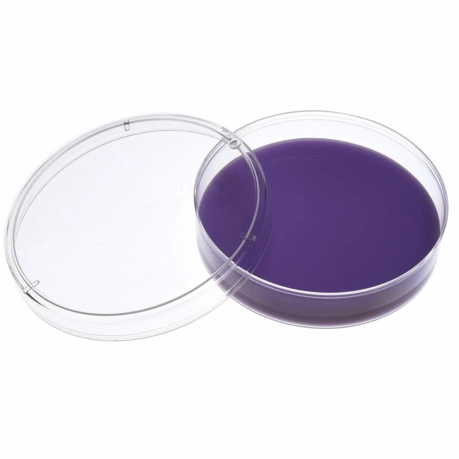 Naczynia Petri 60 * 60 * 15 mm, 10 szt Plastikowe Naczynia Petriego z Pokrywką Przezroczyste sterylne dla Mikroorganizmów Komórki Drożdże Bakteryjne