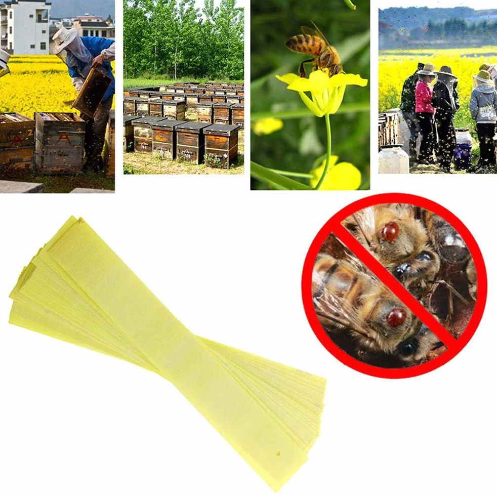 Manhao Fluvalinate paski 40 szt. Manhao Fluvalinate paski roztocza Varroa medycyna pszczelarska