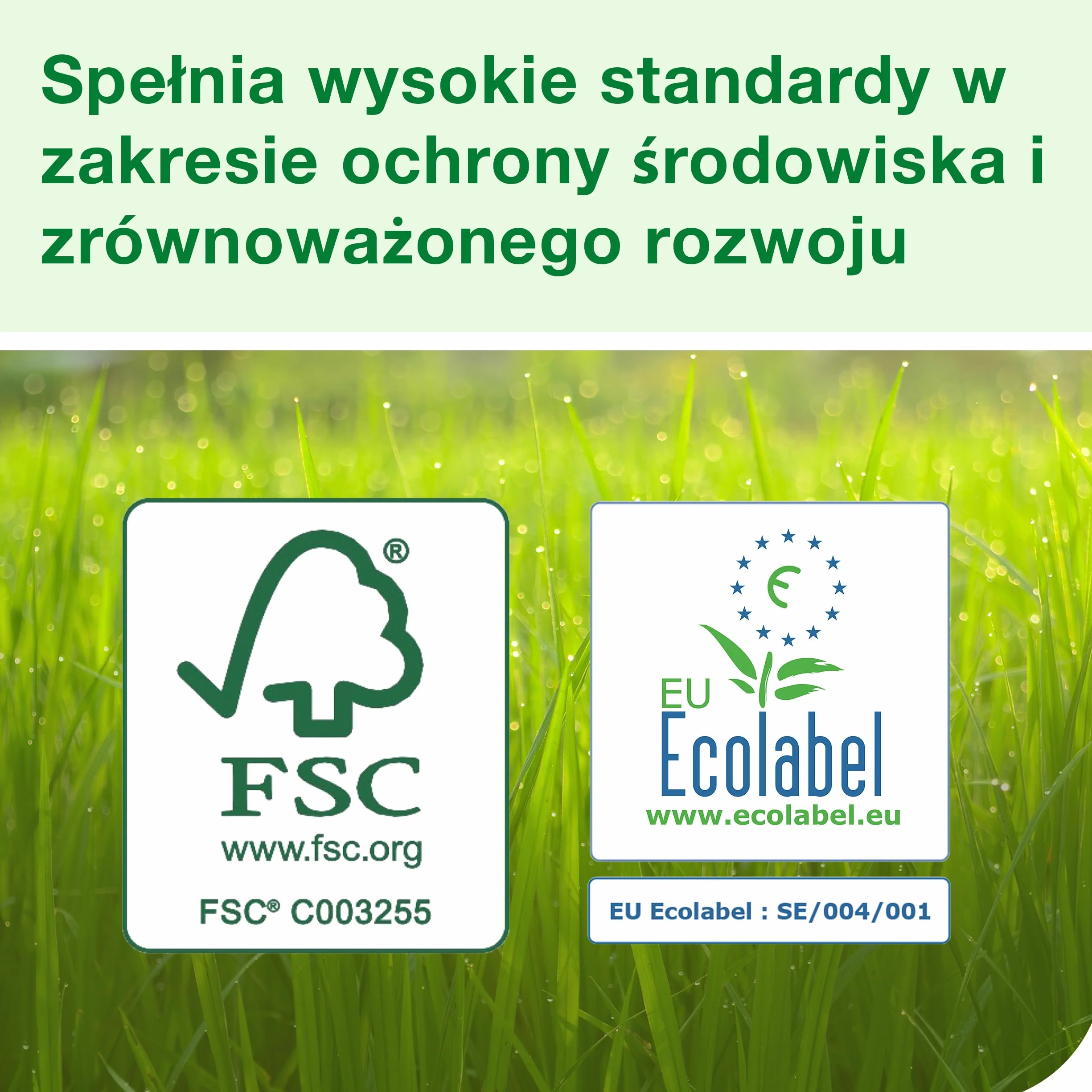 Tork Matic dozownik do ręczników papierowych w roli, biały, H1, wskaźnik zużycia, linia Elevation, 551000