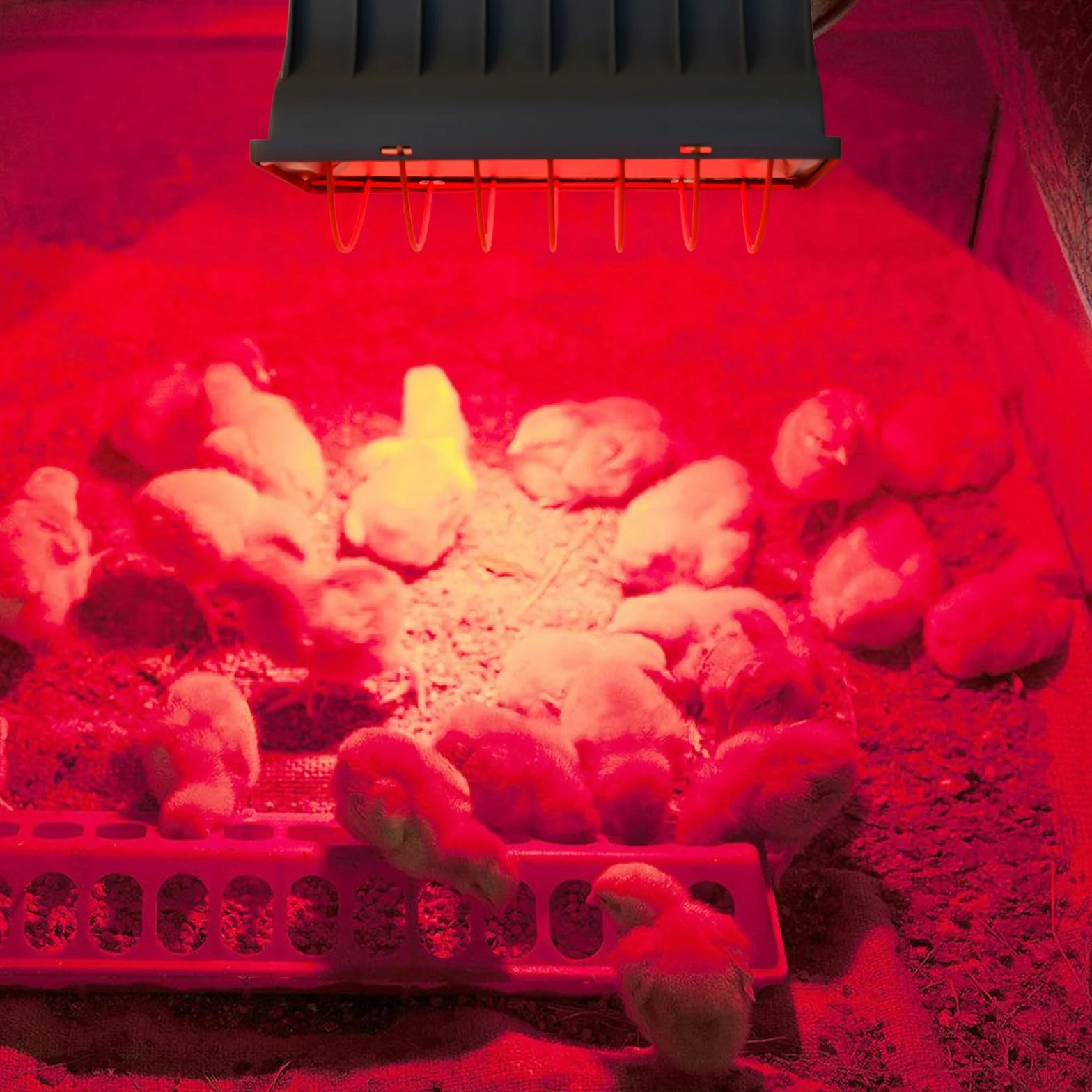 Lampa grzewcza 1,8 m, promiennik ciepła z wtyczką EU, czerwone światło z przełącznikiem, lampa grzewcza dla zwierząt, lampa grzewcza dla kurników, lampa na podczerwień dla piskląt, prosiąt, szczeniąt
