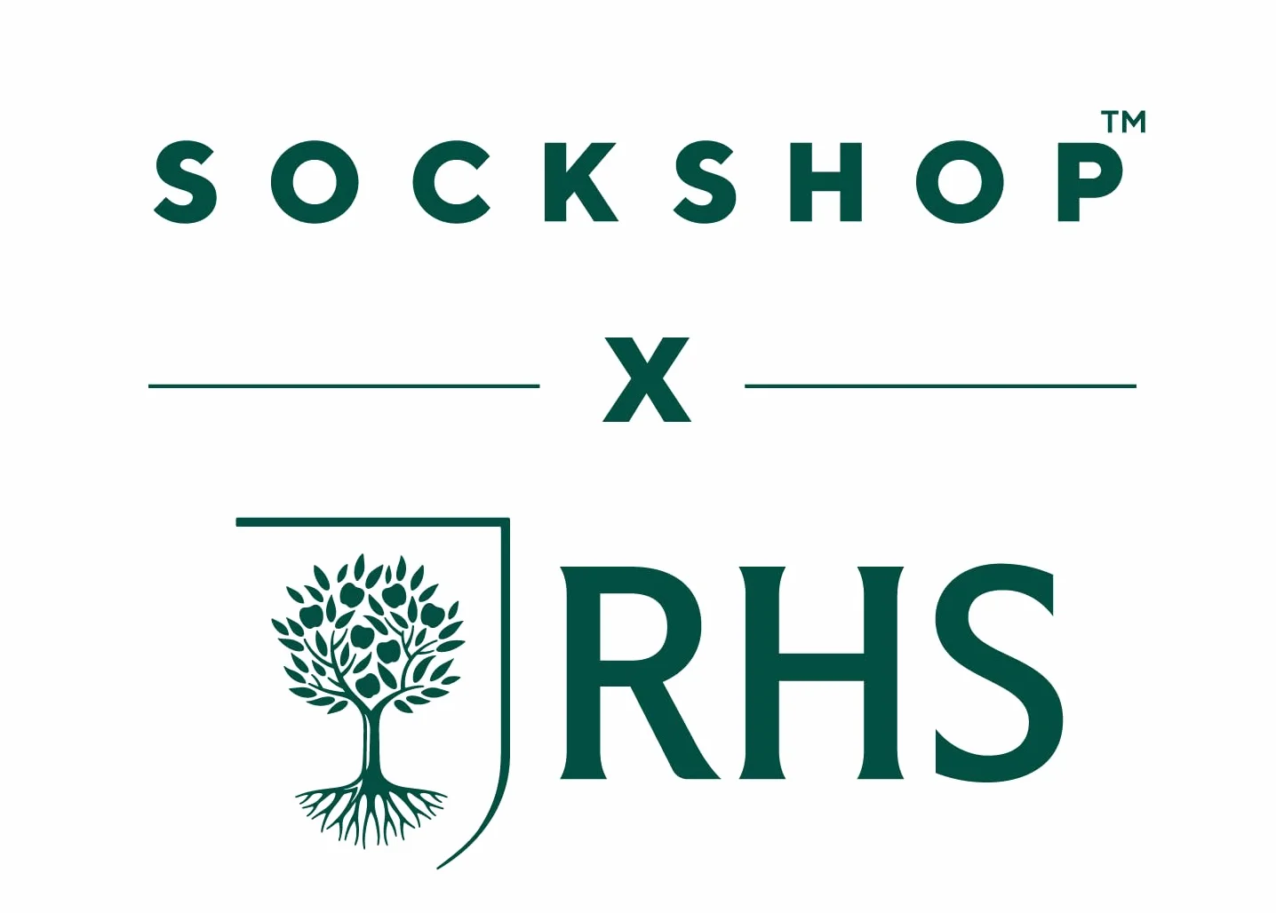 SockShop RHS Królewskie Towarzystwo Ogrodnicze Damskie Skarpetki - RHS x Delikatny Wzór Uchwytu, Bawełniane Skarpety, Prezent dla ogrodników, Rozmiar 37-42 3 pary