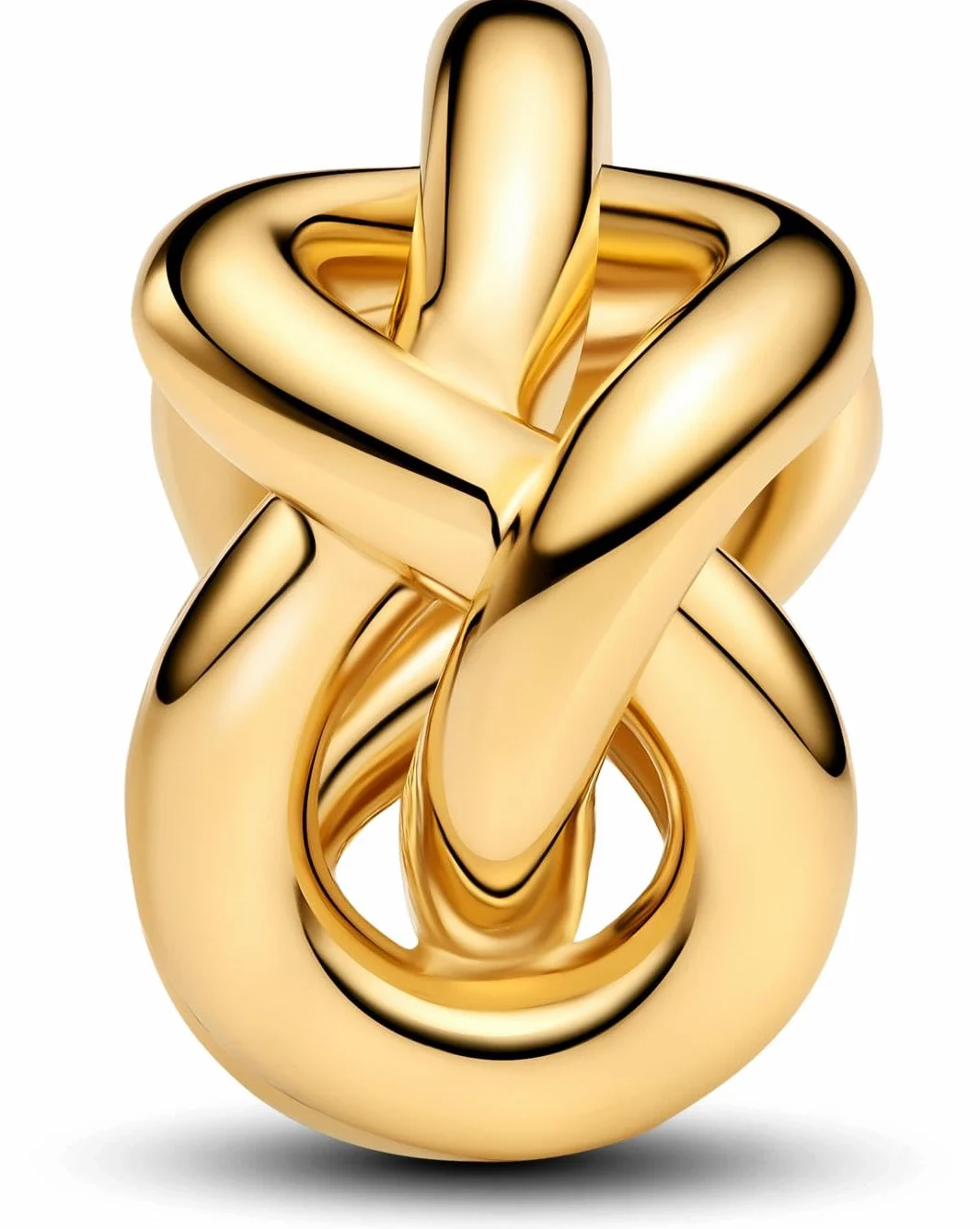 Pandora Moments 763755C00 węzeł nieskończoności Charm