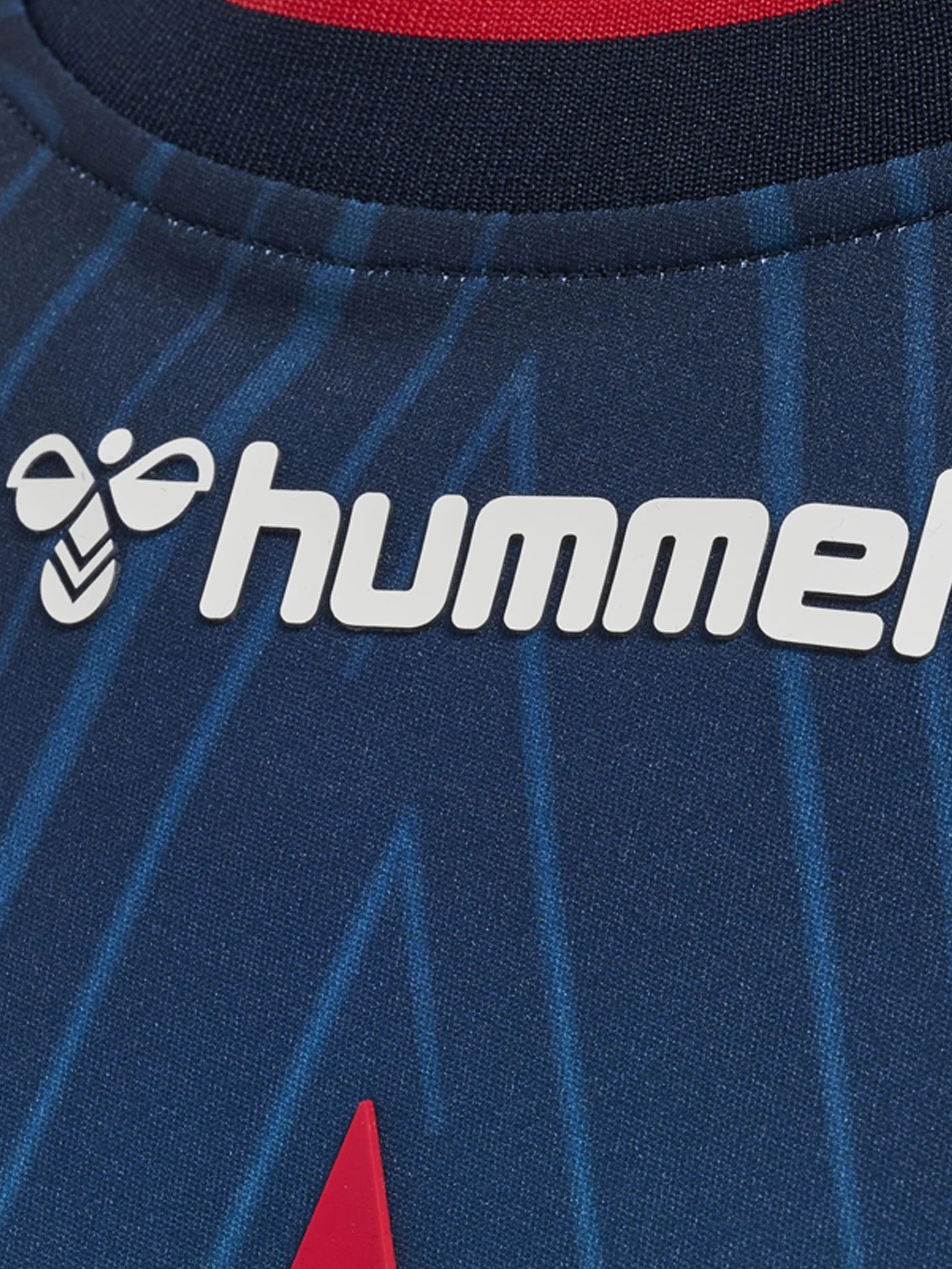 hummel T-shirt Mężczyźni Astralis 21/22 Game Jersey
