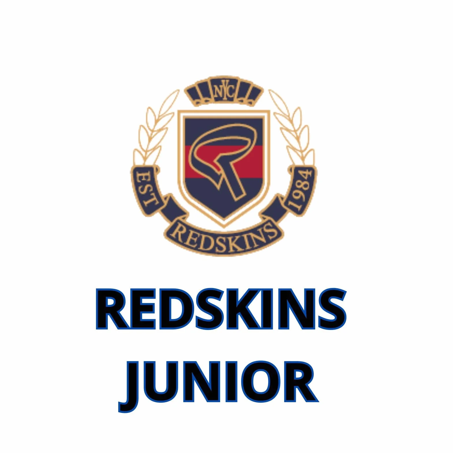 Redskins bluza sweter swetry z kapturem odzież sportowa z nadrukiem dzieci chłopiec i dziewczynka zima polar ciepły model RS4172 granatowy 10 lat, Niebieski, 10 lat