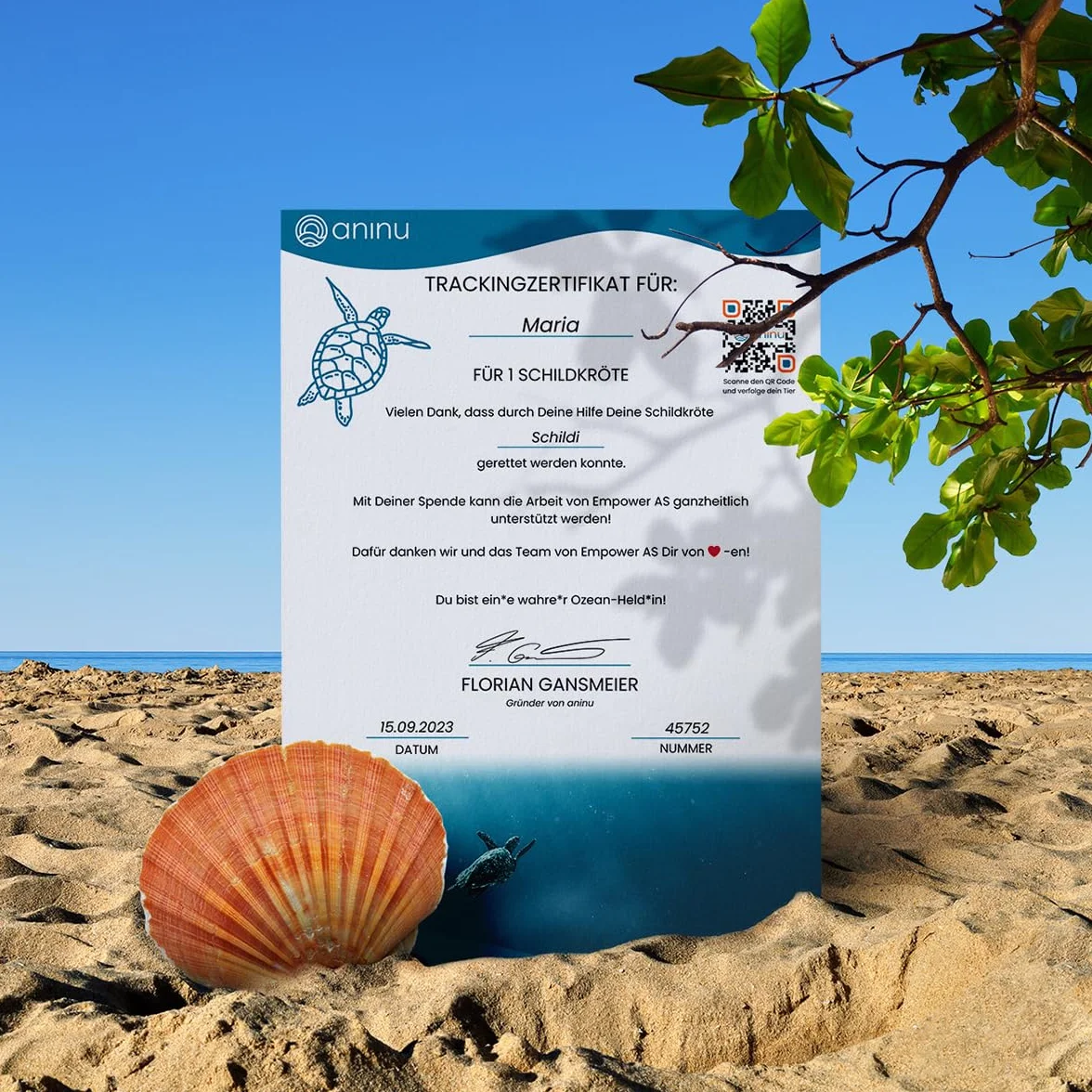 Turtles żółw ze srebra próby 925 z GPS Live Tracking + aplikacja – kolczyki damskie na chrzciny, dla dziewcząt, kobiet, prezent, 2,5 x 2,5 cm, srebro wysokiej próby 925, opal