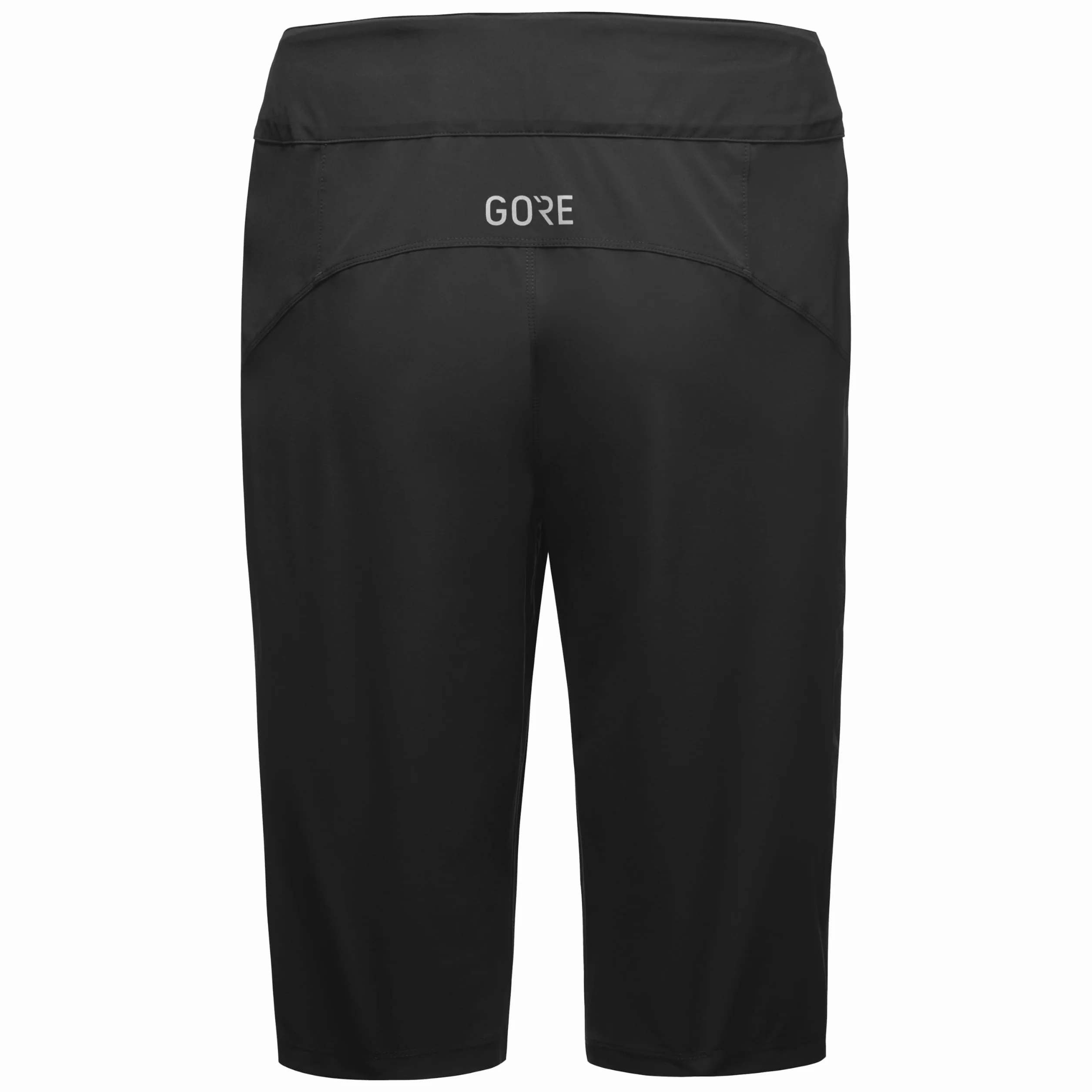 GORE WEAR Passion Shorts